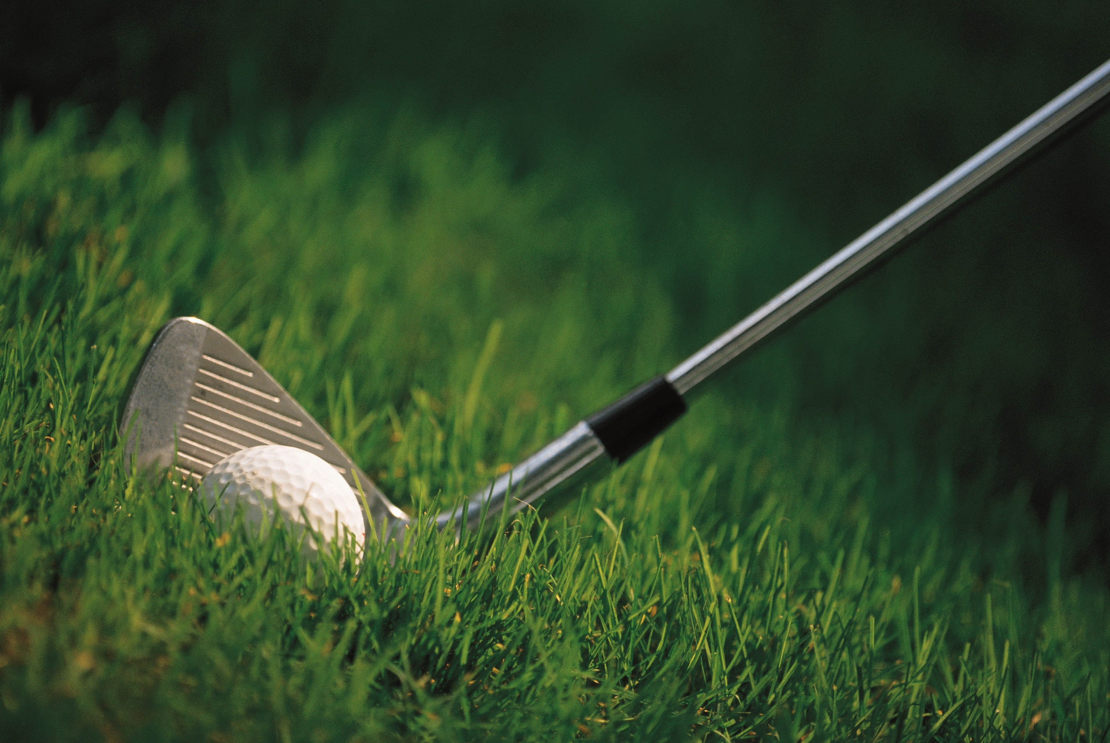 competitive Sport, hobbies, tee, golf Course, summer, putting Green, close-up, golf Club, sports Equipment, recreational Pursuit, selective focus, golf Ball, HD Wallpaper