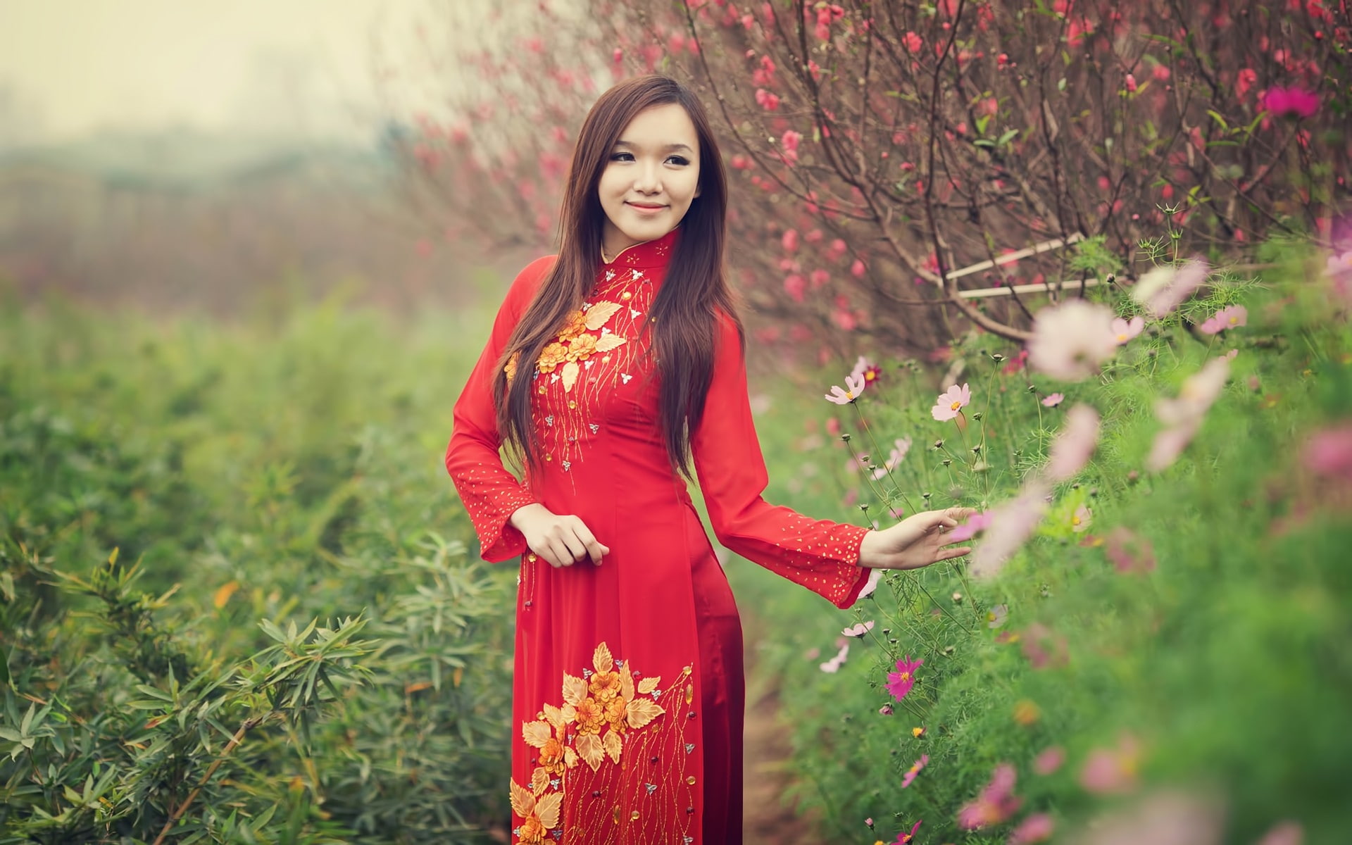 fields, dai, hd, nature, Viet Nam, depth, field, viet, x, nam, 1080P, art, ao, ao dai, HD Wallpaper