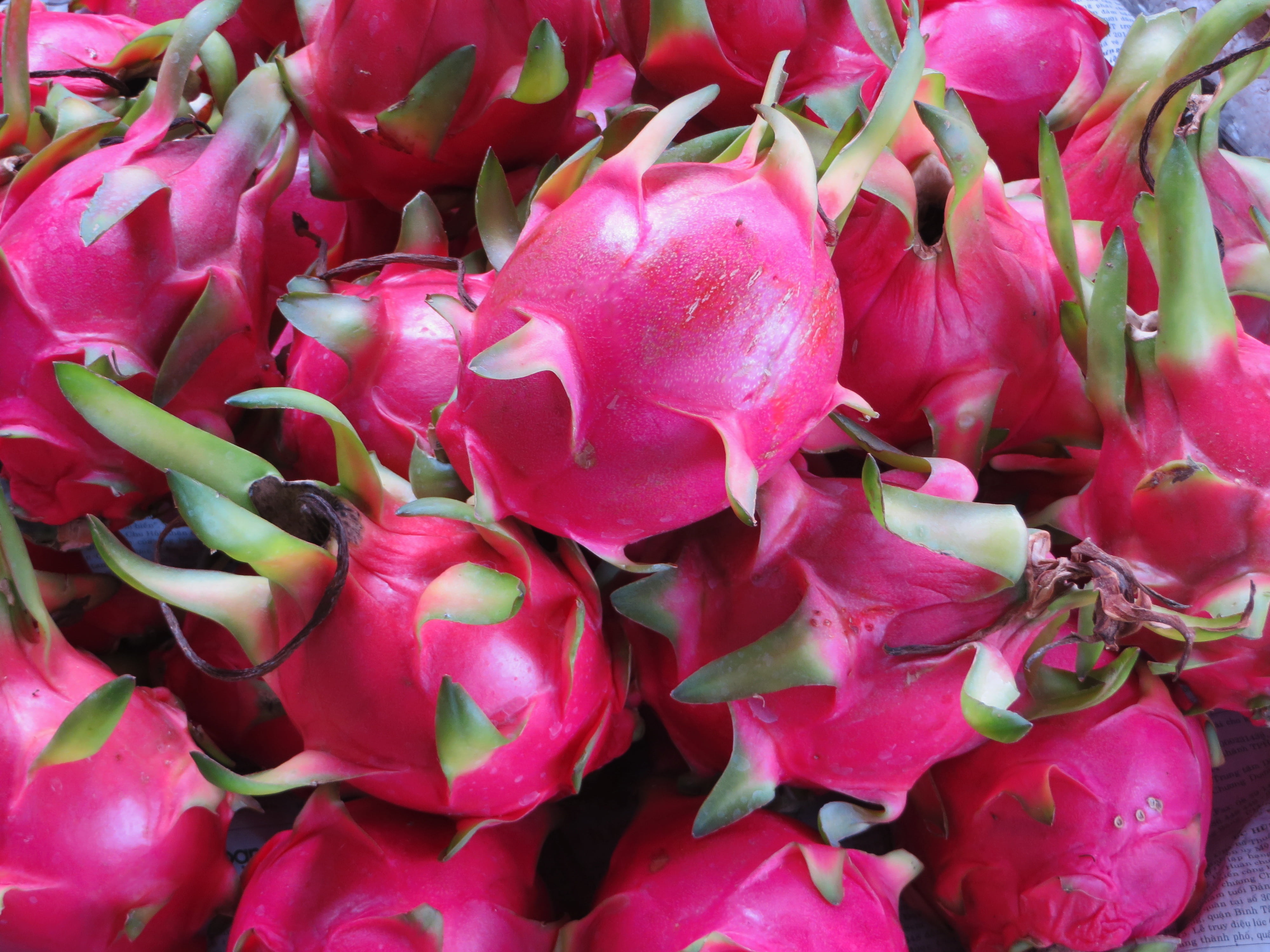 beauty in nature, the dragon fruit, freshness, exotic, flowering plant, full frame, flower, no people, pink, plant, fruit, fragility, day, food and drink, HD Wallpaper