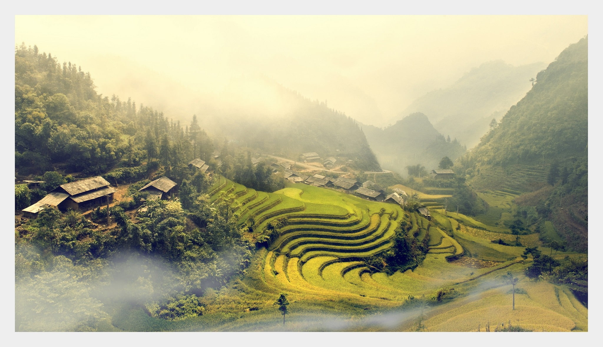 mount, fields, art, general, viet, Landscapes, nature, hd, nam, fog, ladder, 1080P, x, forest, HD Wallpaper