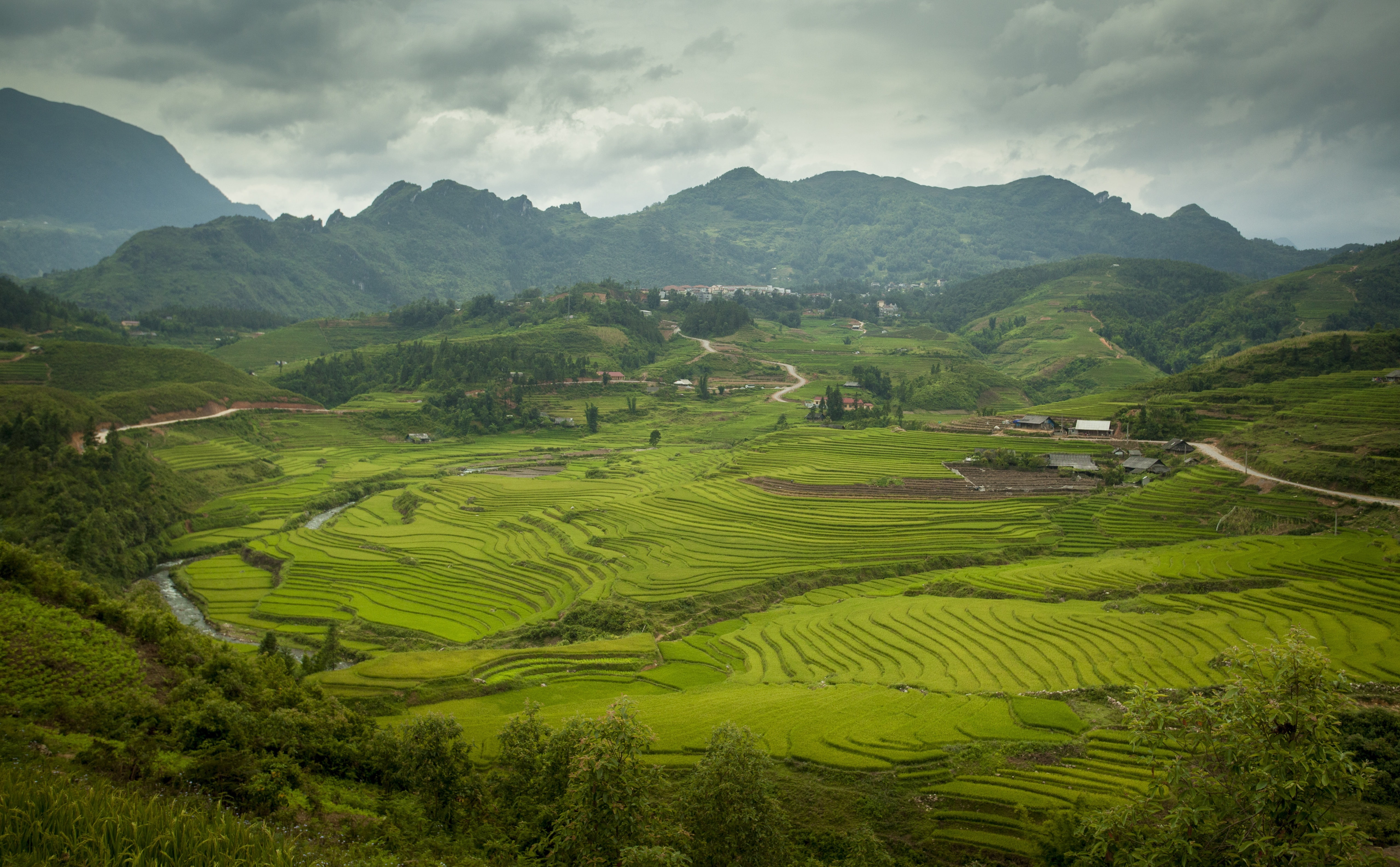 plant, growth, Summer, village, rice paddy, cloud - sky, Mountains, rice - cereal plant, terrace, Rice, paddies, rural scene, farm, Asia, environment, 5K, HD Wallpaper