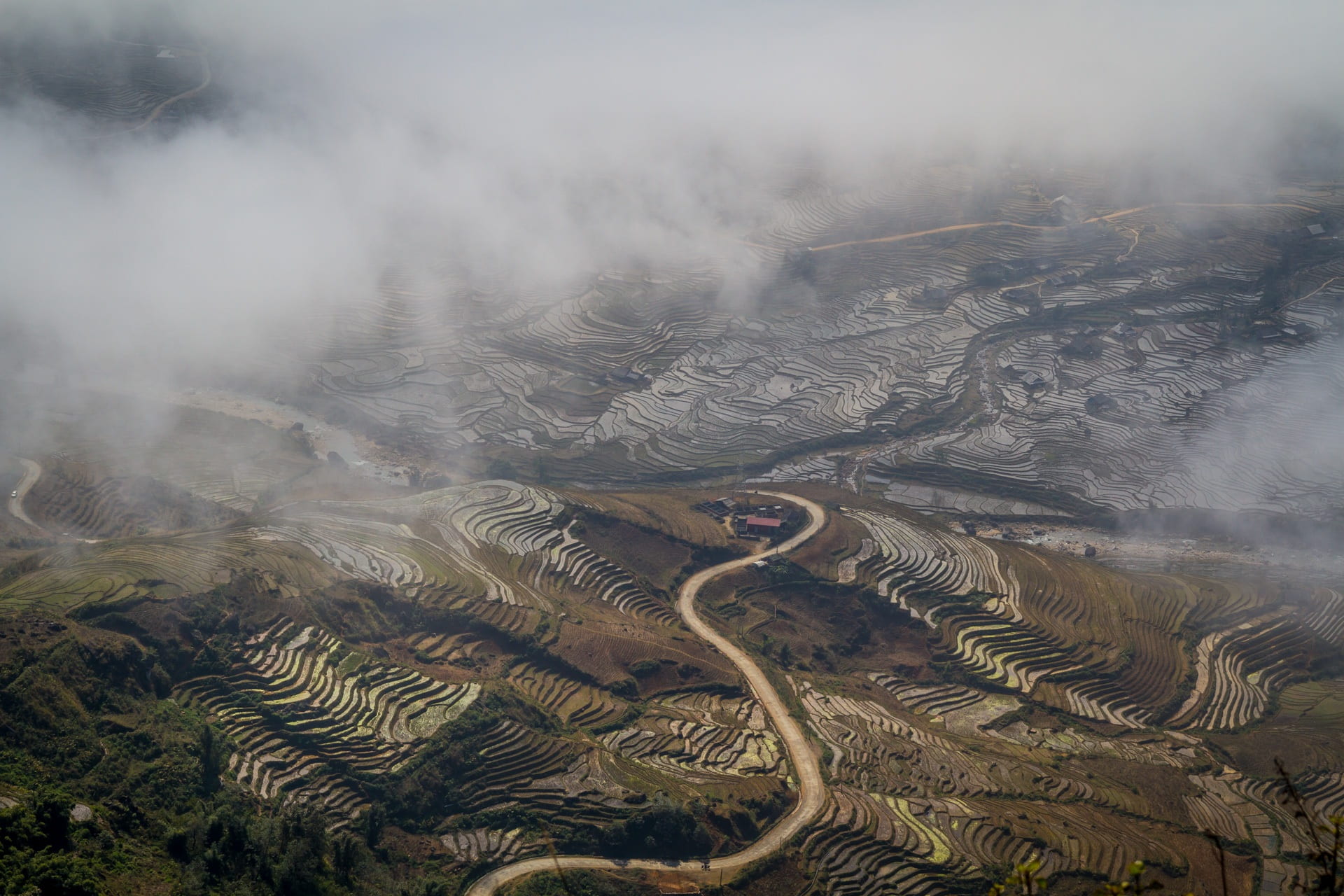 food, dramatic landscape, landscape, vietnam, view, nature, fog, geology, non-urban scene, social issues, road, tree, asia, travel, sapa, land, ground, HD Wallpaper