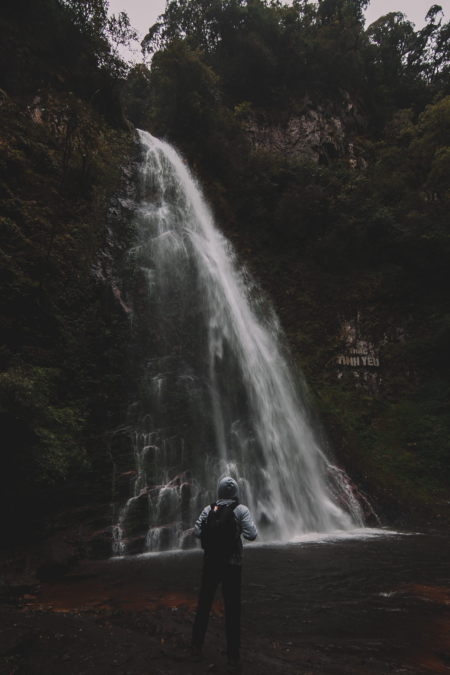 sapa vietnam, nature, plant, standing, forest, flowing water, 1080P, vietnam, one person, tree, waterfall, lifestyles, leisure activity, power in nature, Phone HD Wallpaper