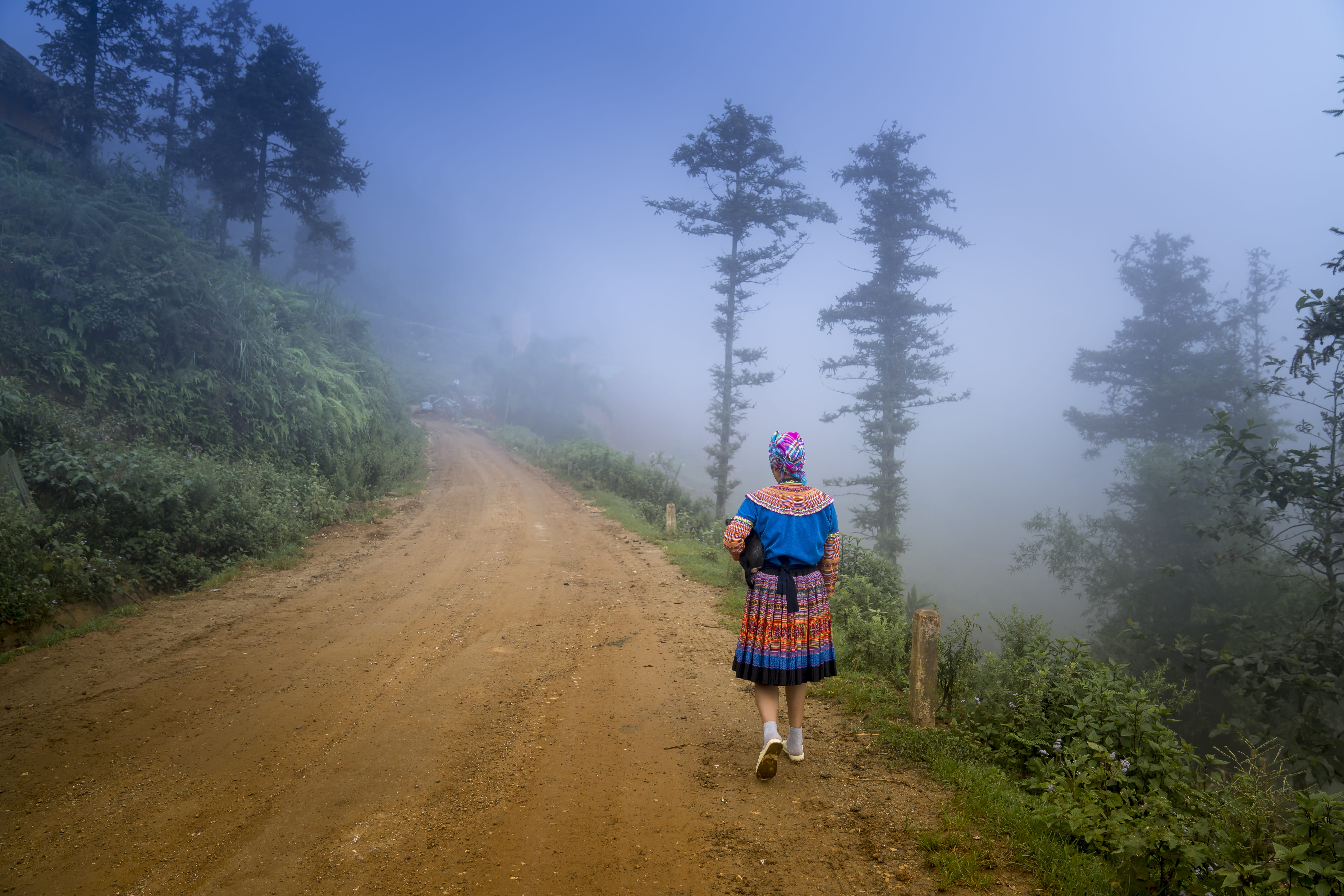 outside, asia, mother, walking, vietnam, play, real people, poor, minority, former, girl, dress, road, day, more, females, natural, lifestyle, nature, transportation, HD Wallpaper