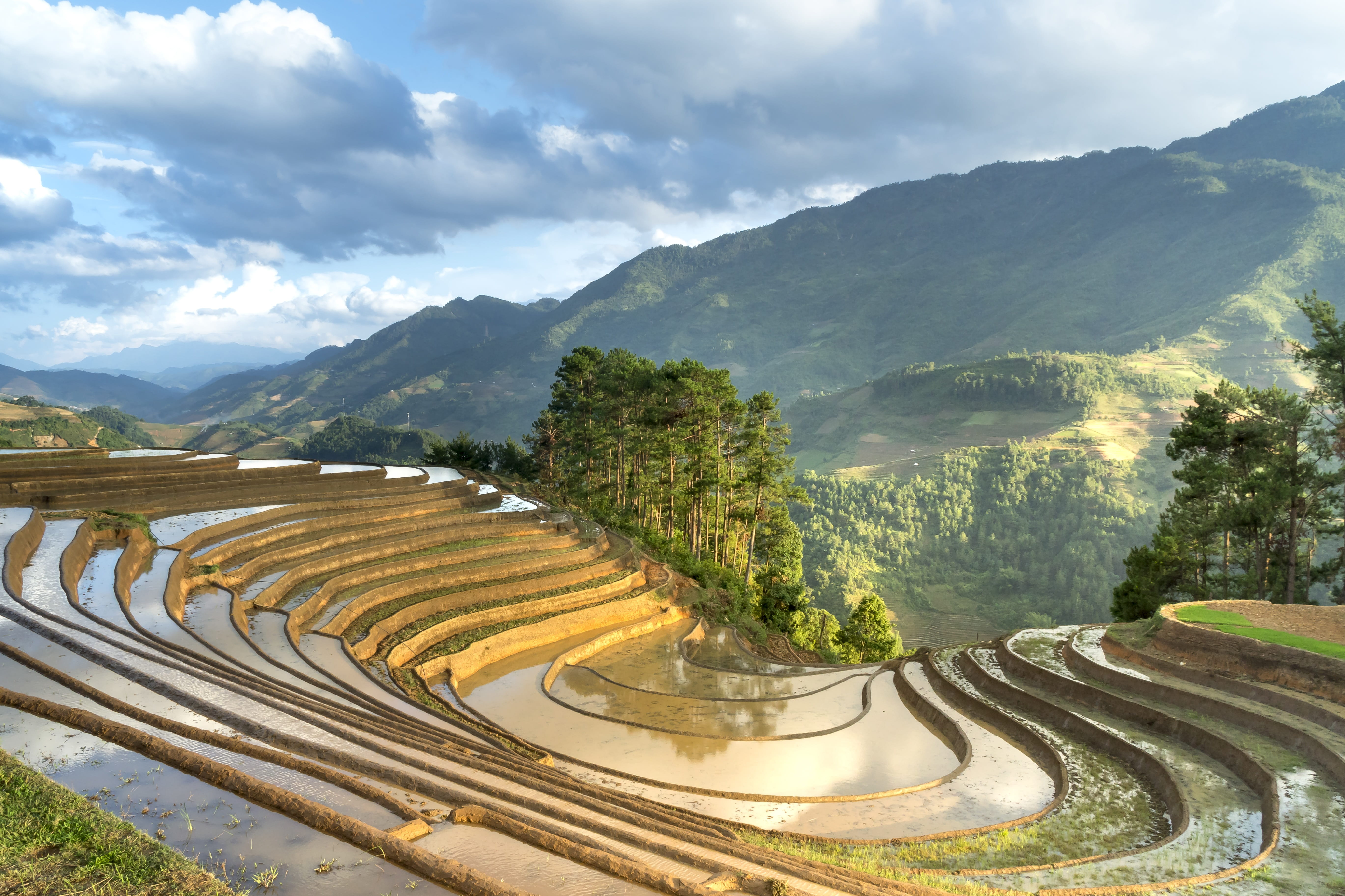 scenics - nature, pour water, agriculture, mountain, beauty in nature, travel, asia, growth, rice, outdoors, natural, harvest, nature, no people, landscape, HD Wallpaper