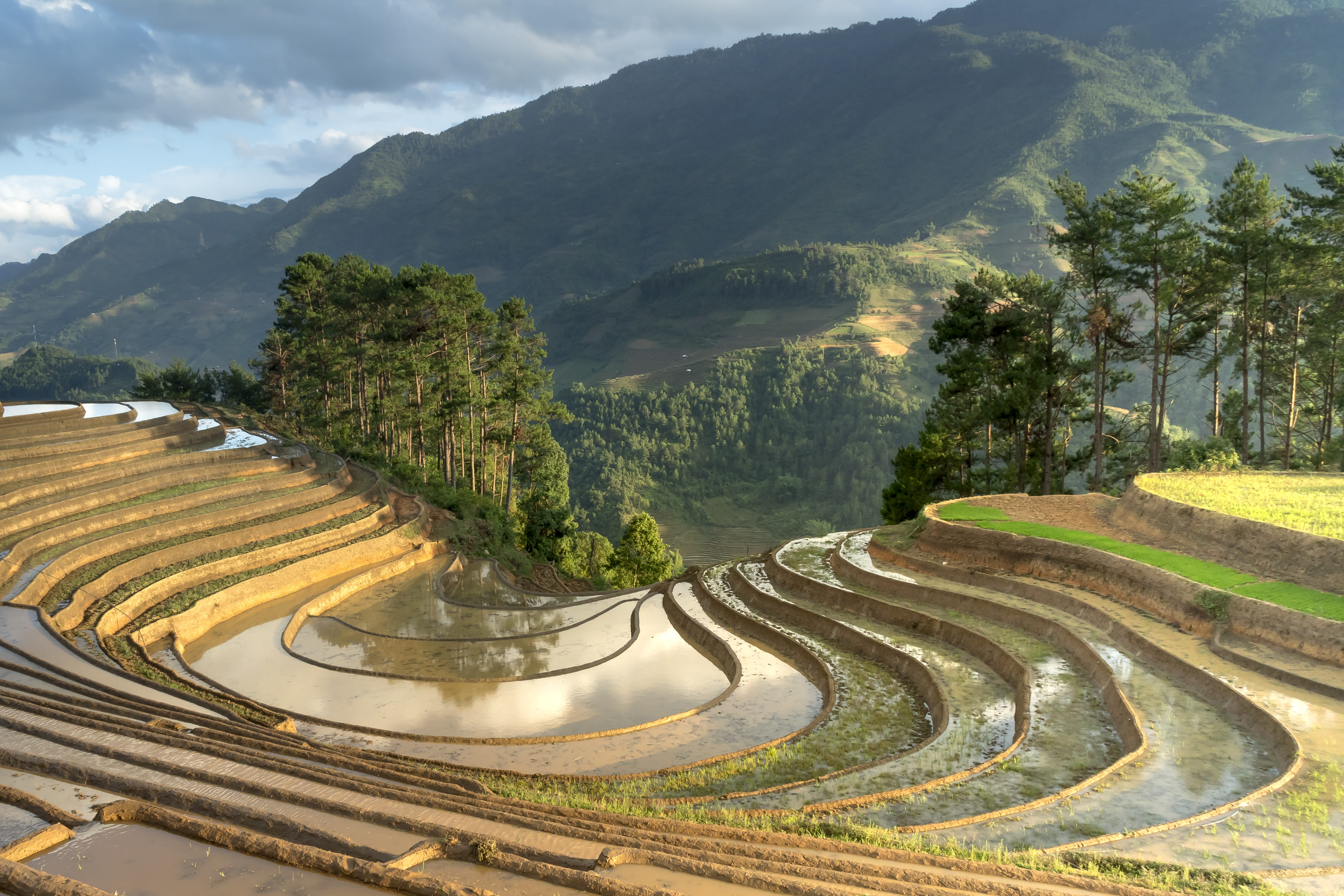 beauty in nature, no people, tranquil scene, cloud - sky, mountain, full color, agriculture, terraced field, day, curve, tranquility, field, scenics - nature, HD Wallpaper