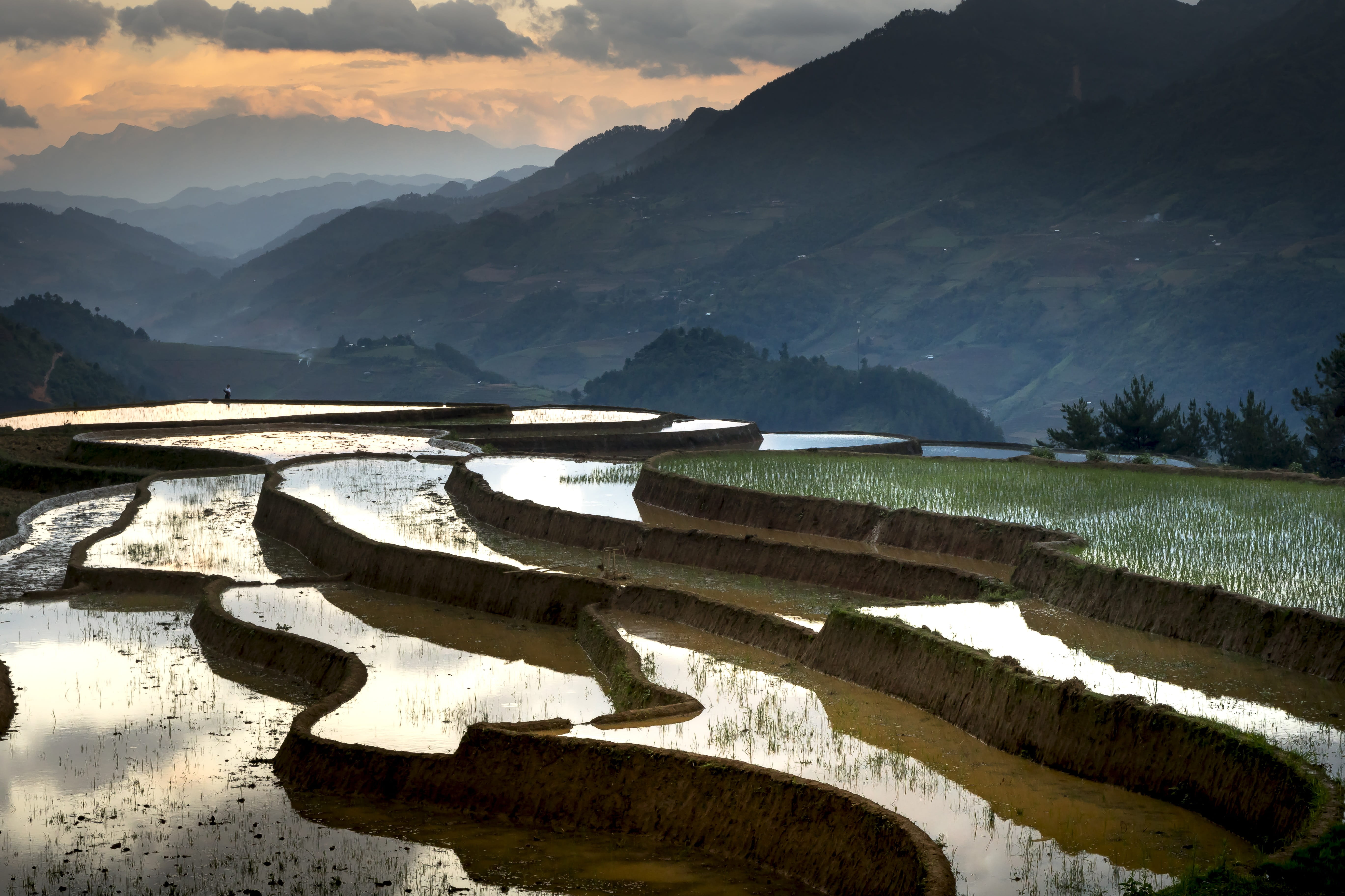 minority, full color, environment, eco, no people, natural, travel, non-urban scene, the valley, agriculture, 5K, farmer, asia, field, transplanted rice, HD Wallpaper
