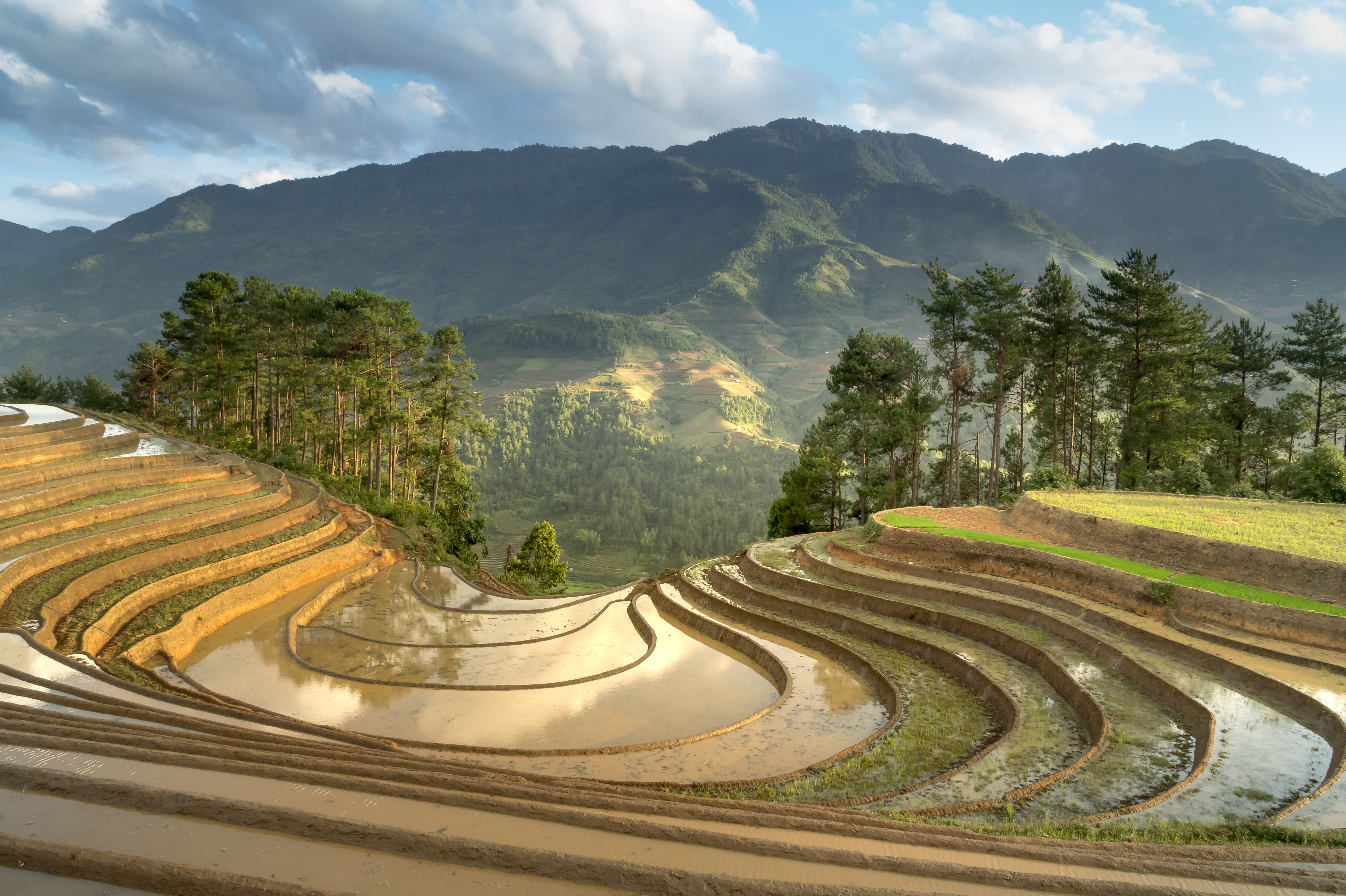 sơnla, mountain, pour water, plant, beauty in nature, minority, cultural, full color, harvest, landscape, natural, nature, farm, day, tree, silk, mountain range, HD Wallpaper