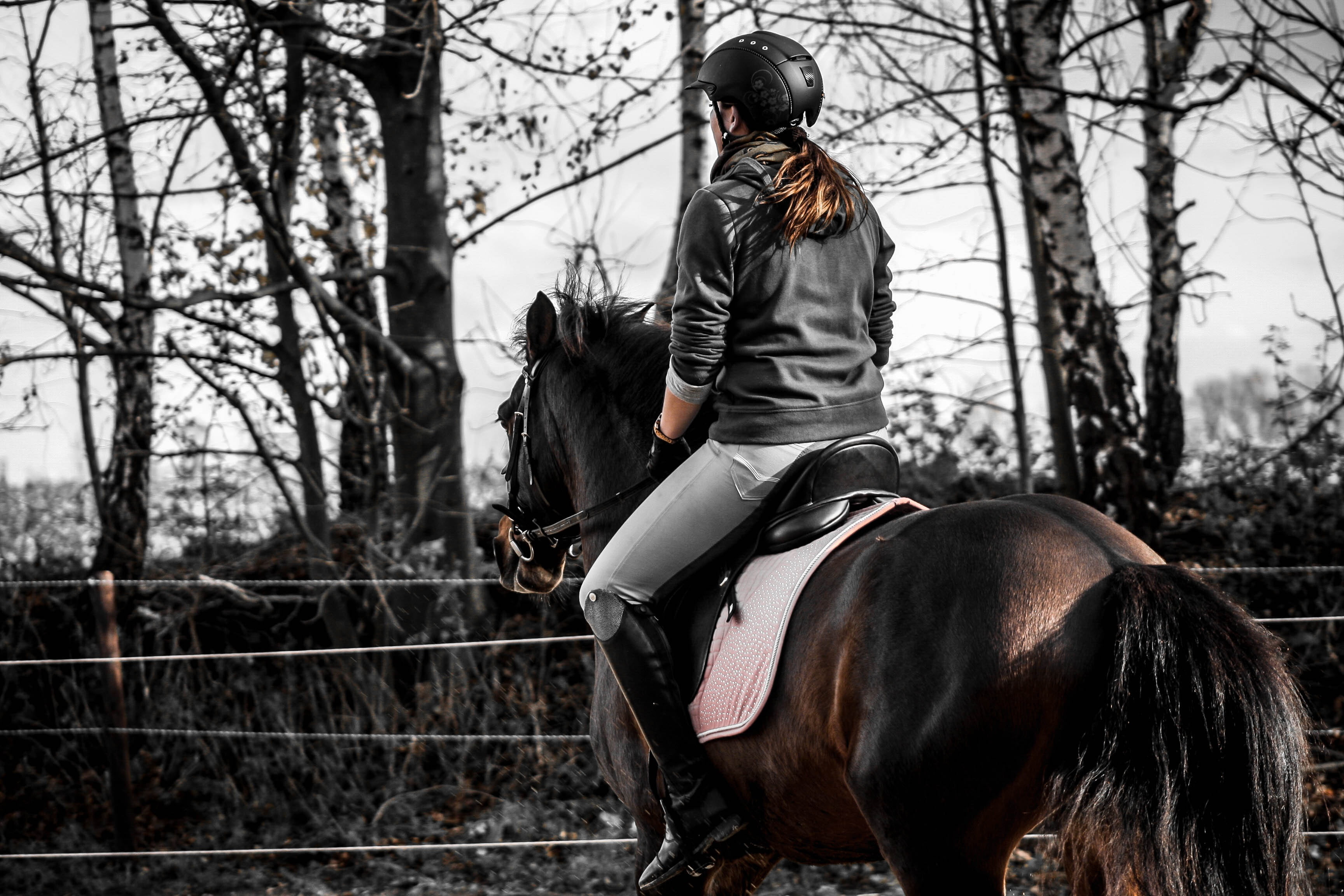thoroughbred Horse, leisure activity, animal, nature, livestock, trees, 2K, saddle, tree, trot, vertebrate, women, outdoors, woman, animal wildlife, warm clothing, HD Wallpaper