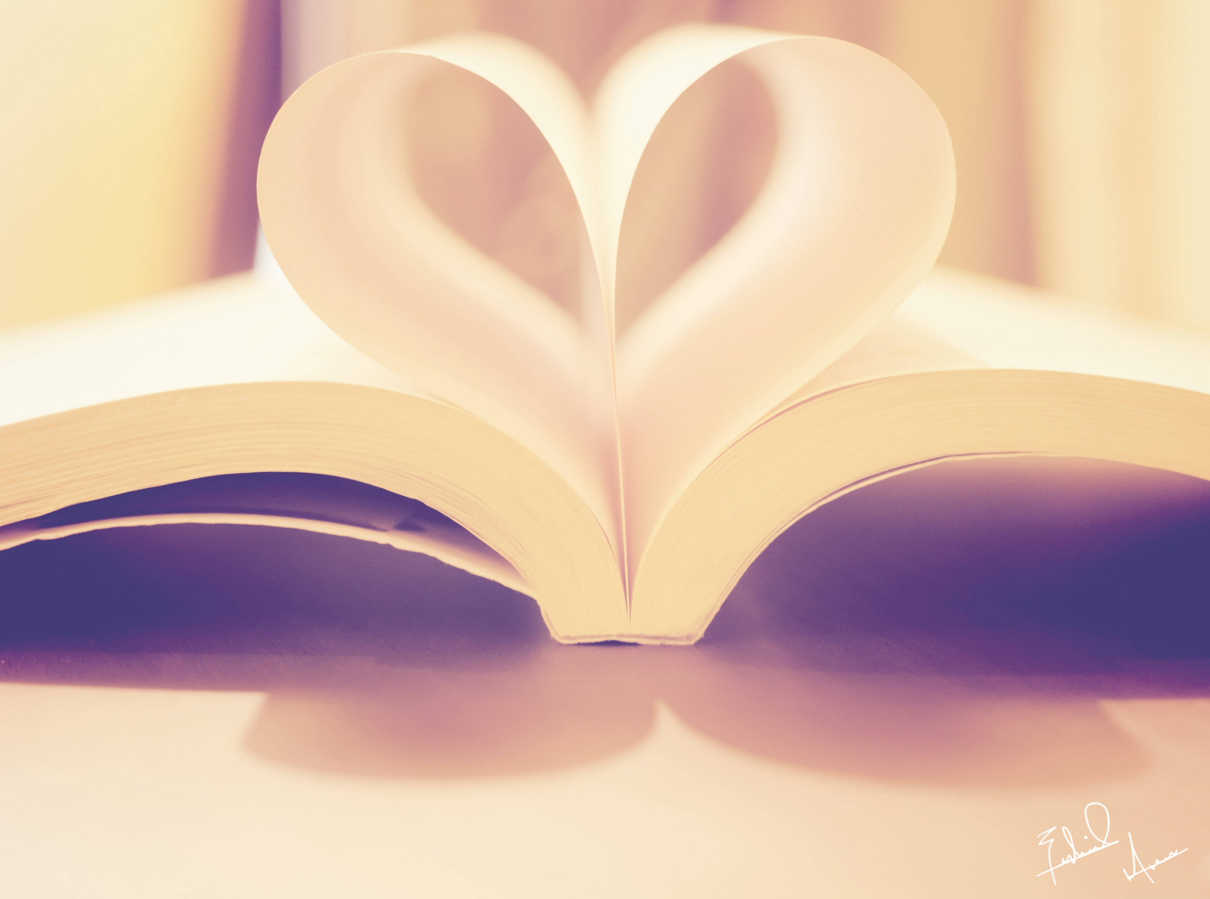 close-up, text, no people, creativity, e, white, Book, message, art and craft, heart shape, paper, literature, publication, emotion, open, indoors, book heart, HD Wallpaper