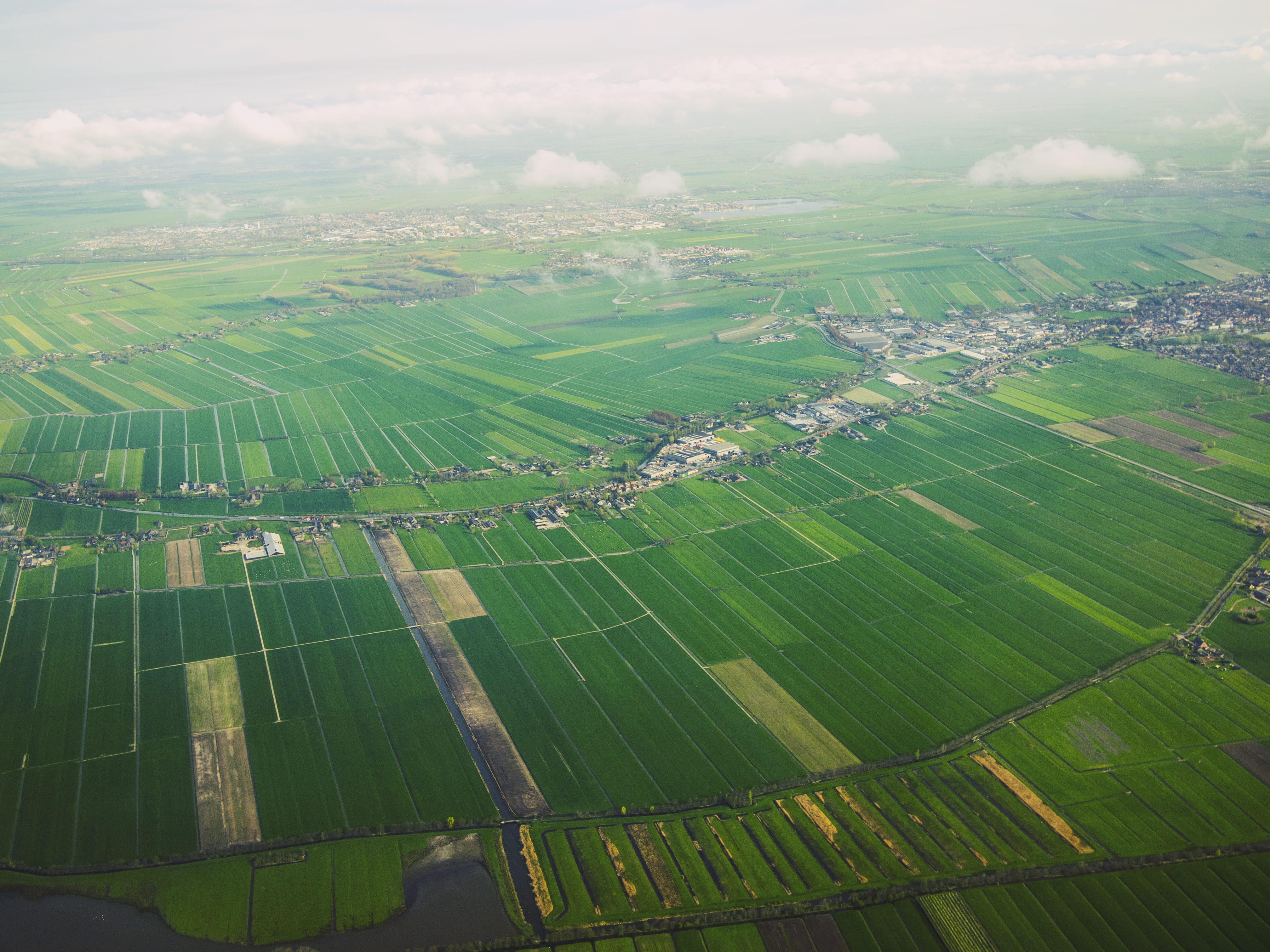 landwork, industry, view, green, outdoors, fields, beauty in nature, nederland, horizon, dutch, agriculture, earth, climate, city, field, plantation, country, HD Wallpaper