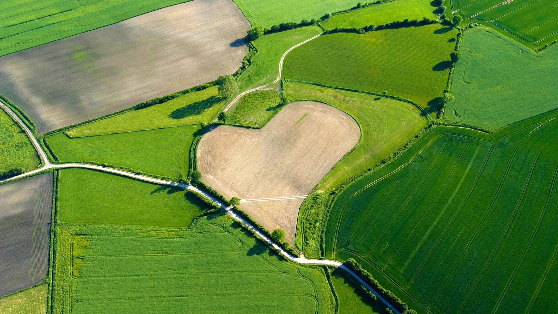 scenics - nature, tranquility, tranquil scene, field, outdoors, day, environment, nature, rural scene, landscape, patchwork landscape, farm, land, plant, HD Wallpaper