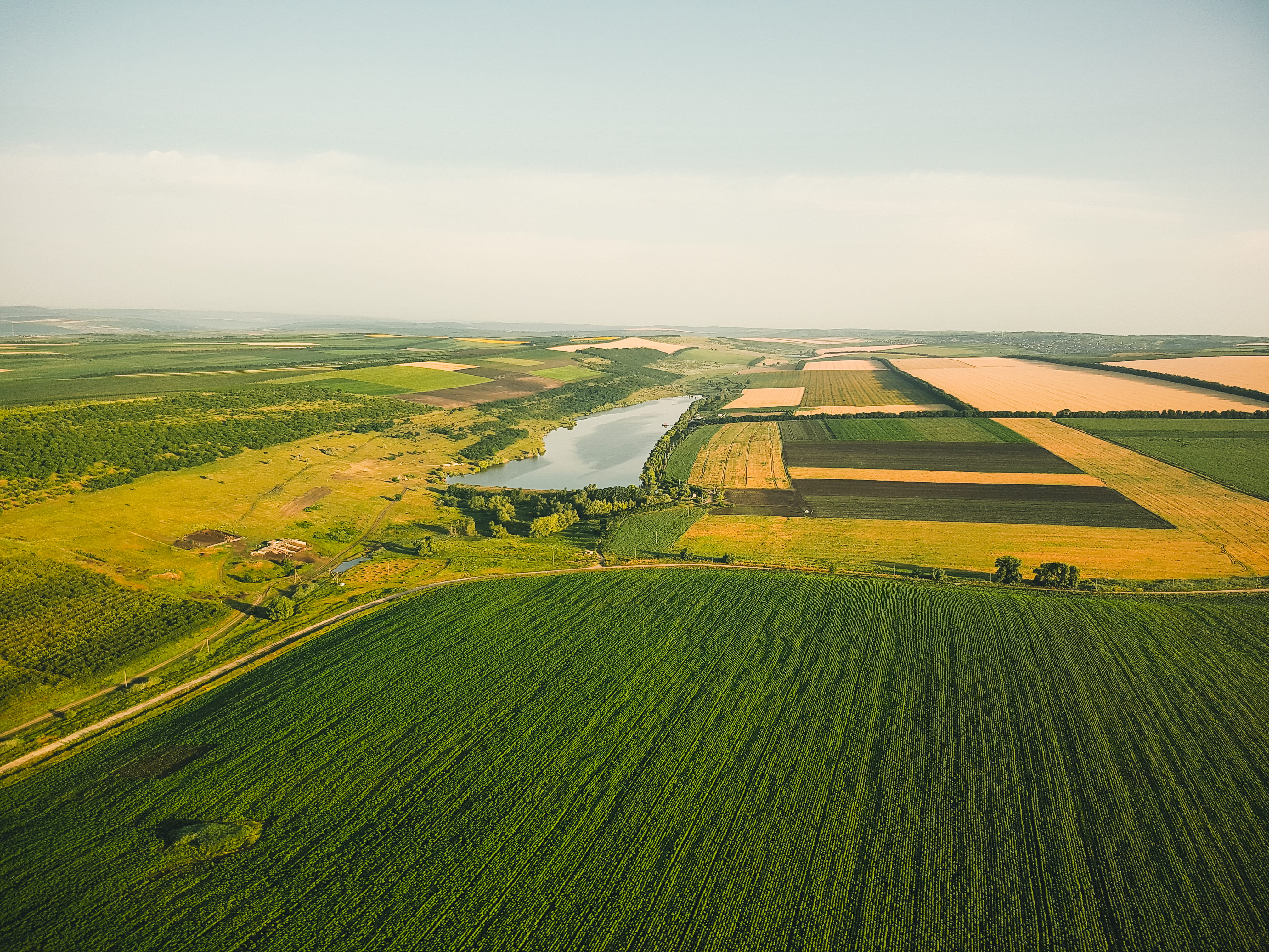 plantation, moldova, outdoors, landscape, scenics - nature, plant, phone, farm, sky, crop, view, beauty in nature, lake, rural scene, growth, dji, environment, HD Wallpaper