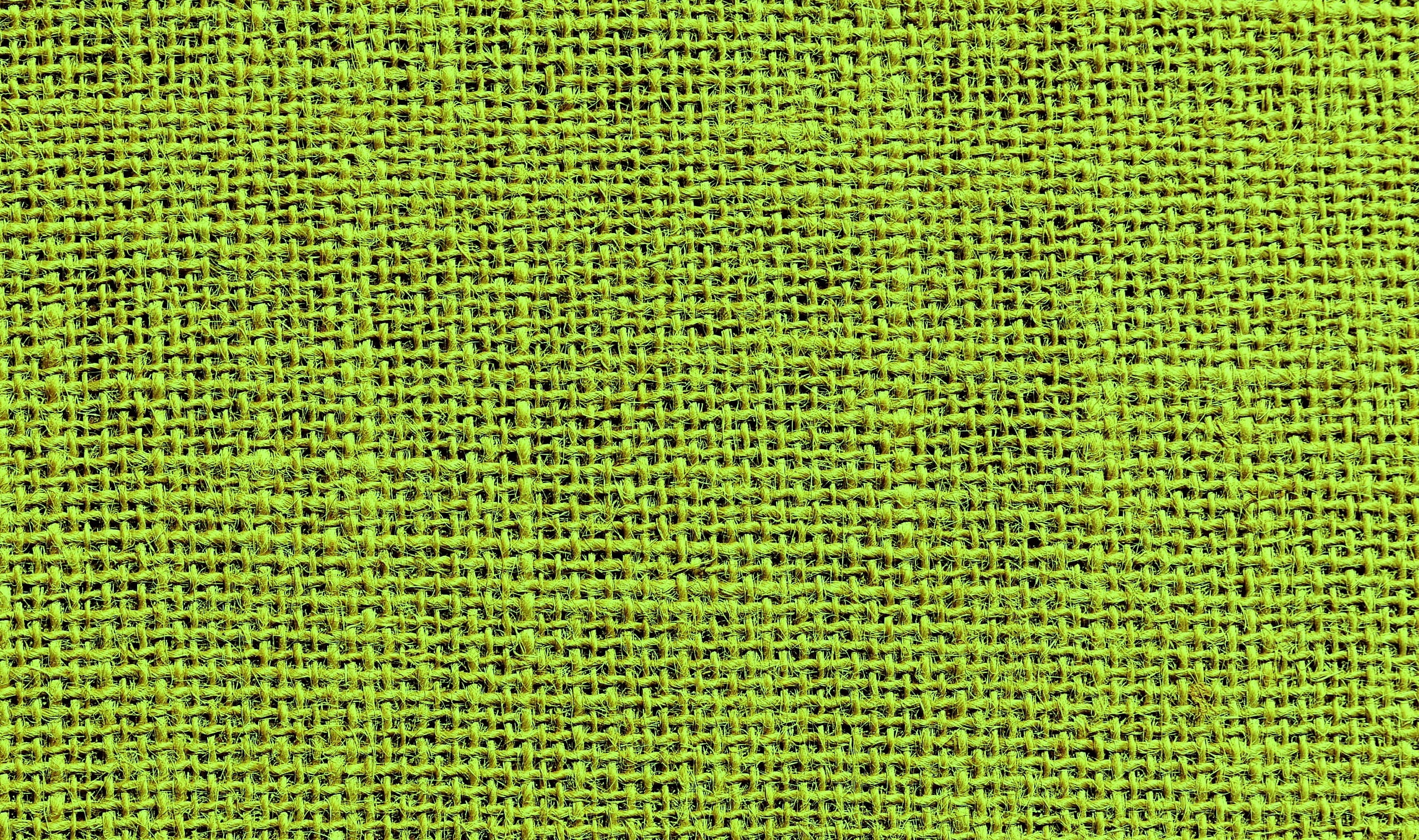 technology, 1080P, Coarse, textured, vegetable, field, pattern, communication, abstract, green, backgrounds, message, corn, agriculture, science, order, HD Wallpaper
