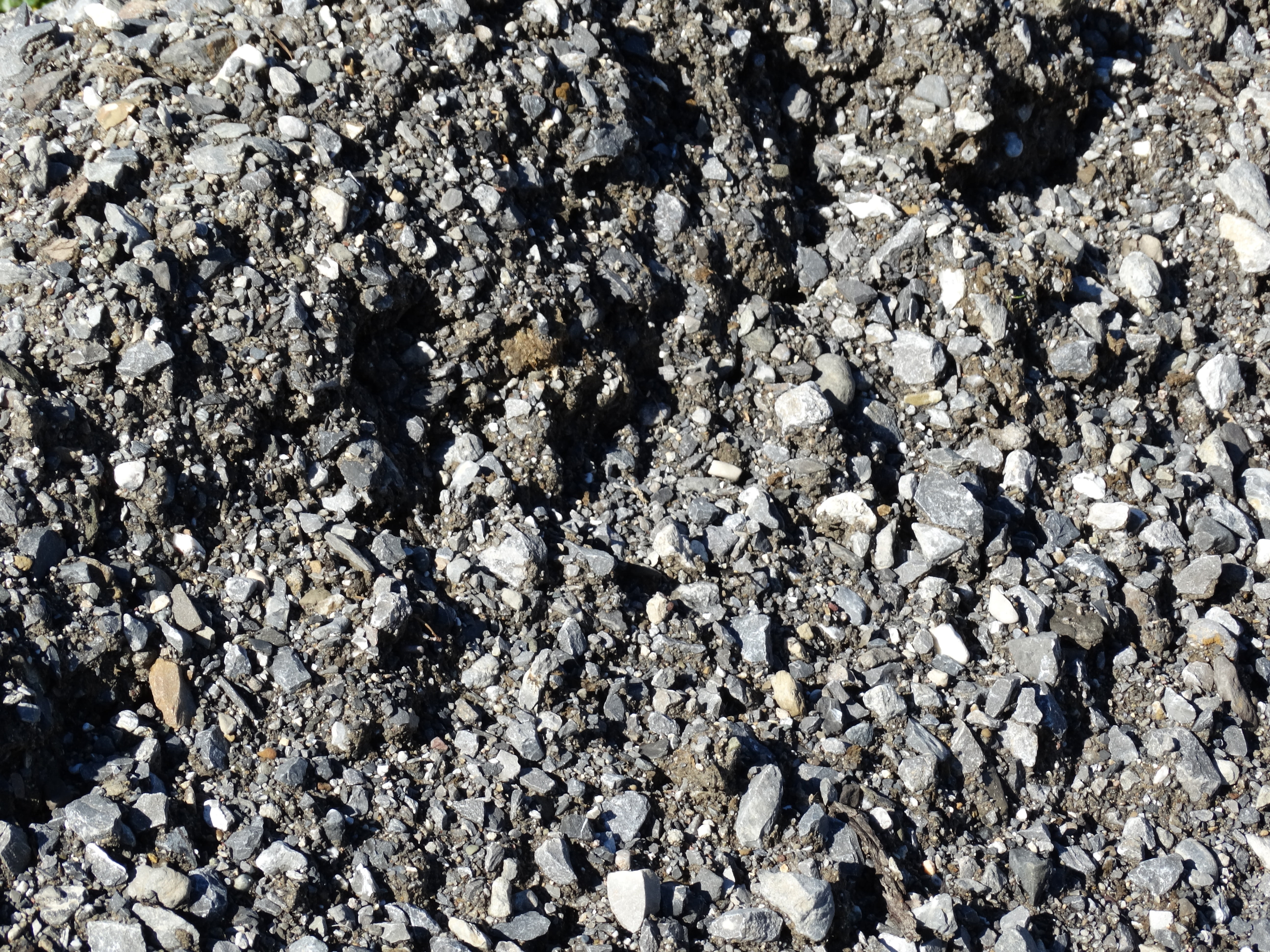 stone - object, animal wildlife, coarse gravel, high angle view, pebble, abundance, construction material, animal themes, backgrounds, animal, outdoors, HD Wallpaper