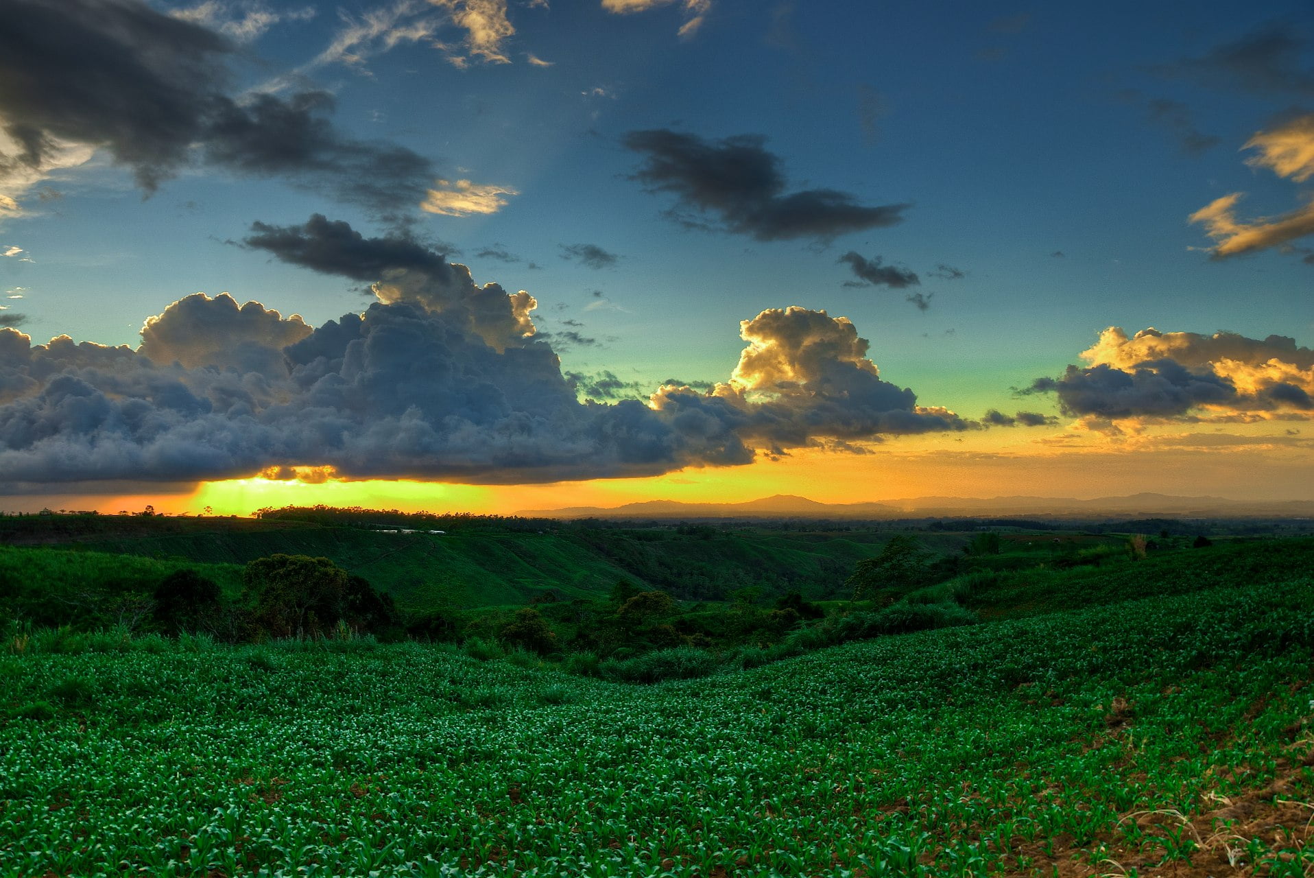 green meadows, outdoors, sunlight, dusk, cloud - Sky, meadows, green, summer, sunset, land, Bukidnon, sun, sky, explored, hill, mountains, Philippines, HD Wallpaper