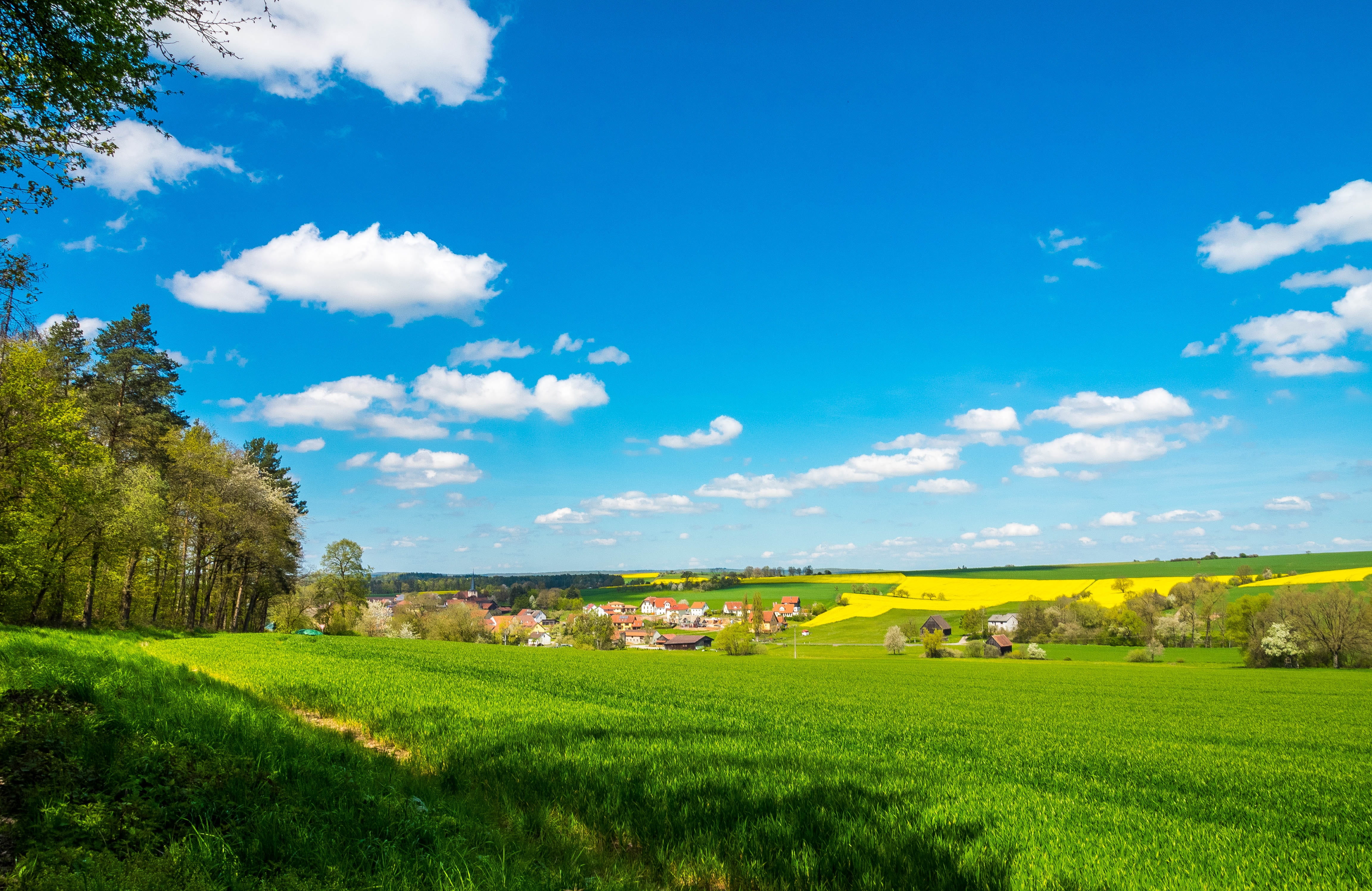green Color, promenade, sky, 4K, non-Urban Scene, hill, tree, blue, springtime, germany, scenics - nature, trail, agriculture, day, season, growth, scenics, HD Wallpaper