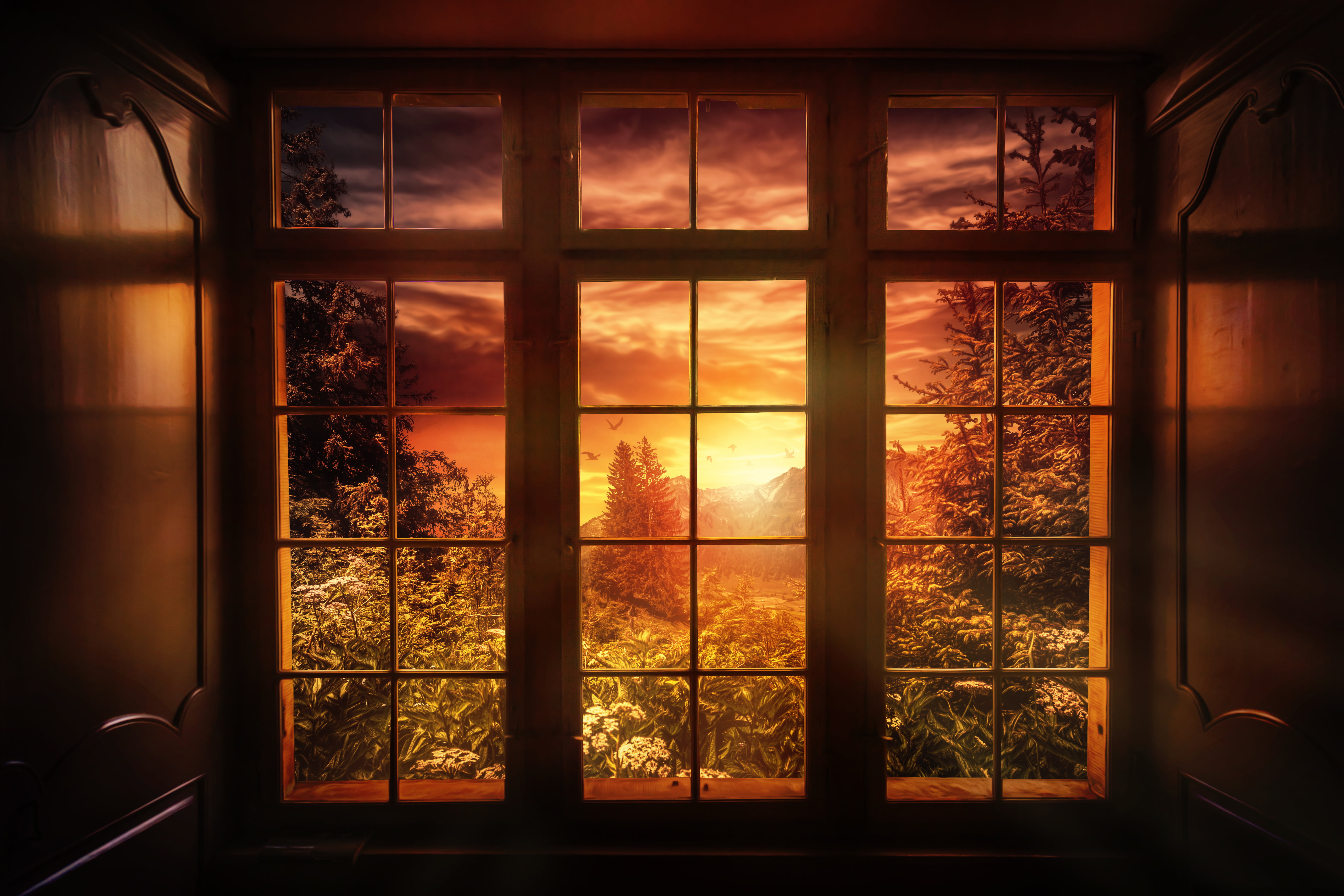 nature, transparent, Good night, 5K, tree, night, glass - Material, glass, dark, beauty in nature, orange color, building, frame, indoors, sky, cloud - sky, HD Wallpaper