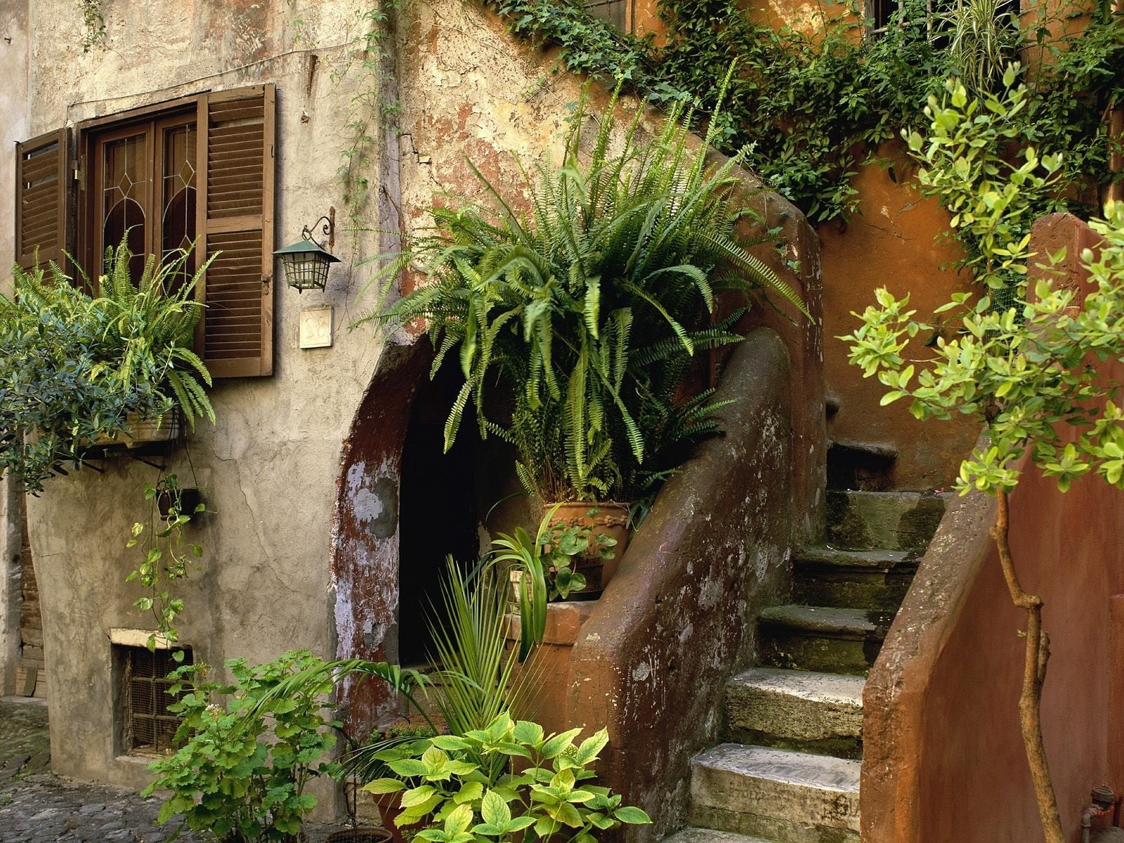old, outdoors, city, facade, cultures, shutter, green, street, built Structure, architecture, window, summer, village, door, potted plant, house, growth, HD Wallpaper