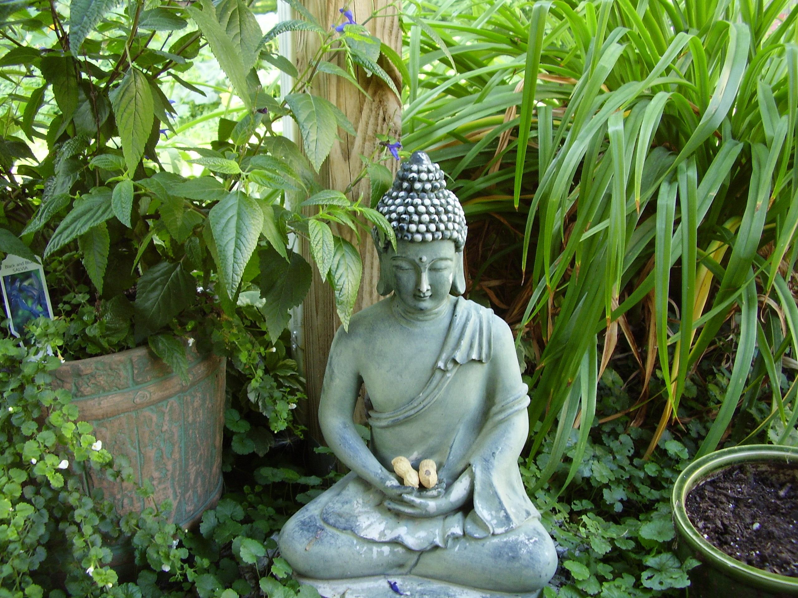 green, buddha, 2K, 3d and abstract, patio, flowers, HD Wallpaper