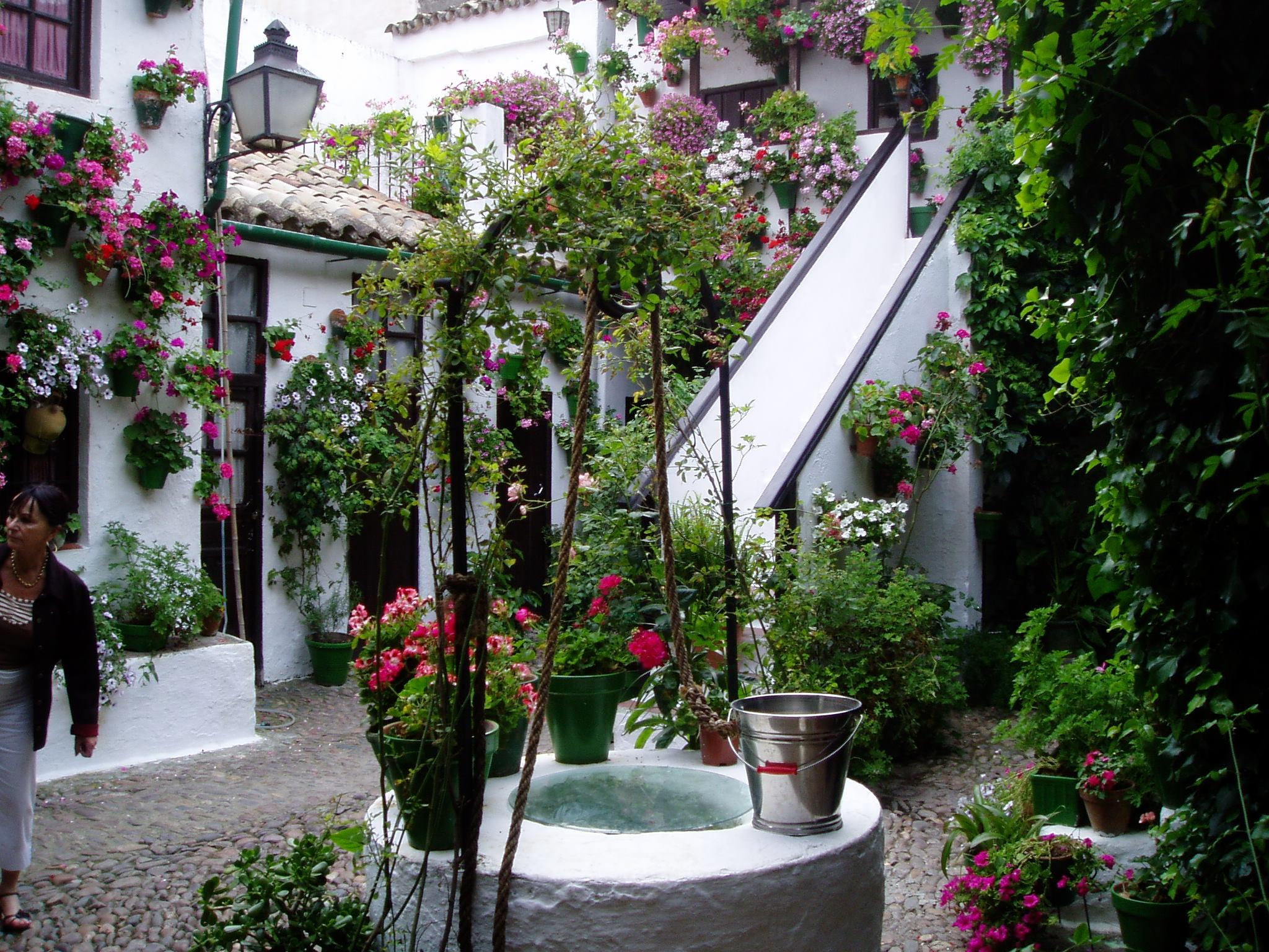 spain, andalucia, animals, 1080P, patio, cordoba, wall, flowers, HD Wallpaper