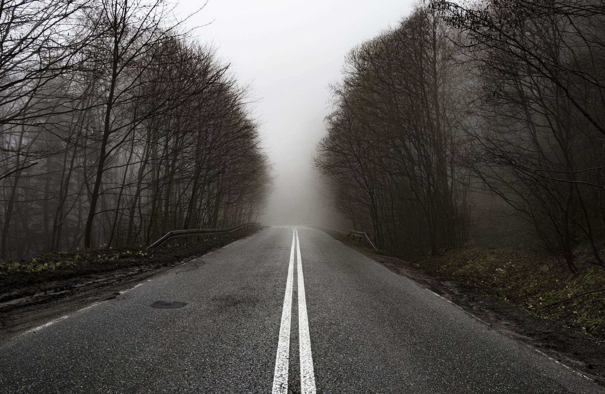 sign, outdoors, tree, marking, road, long, patio, fall, mist, monochrome, diminishing perspective, tranquility, white, umbrella, surface level, day, no people, HD Wallpaper