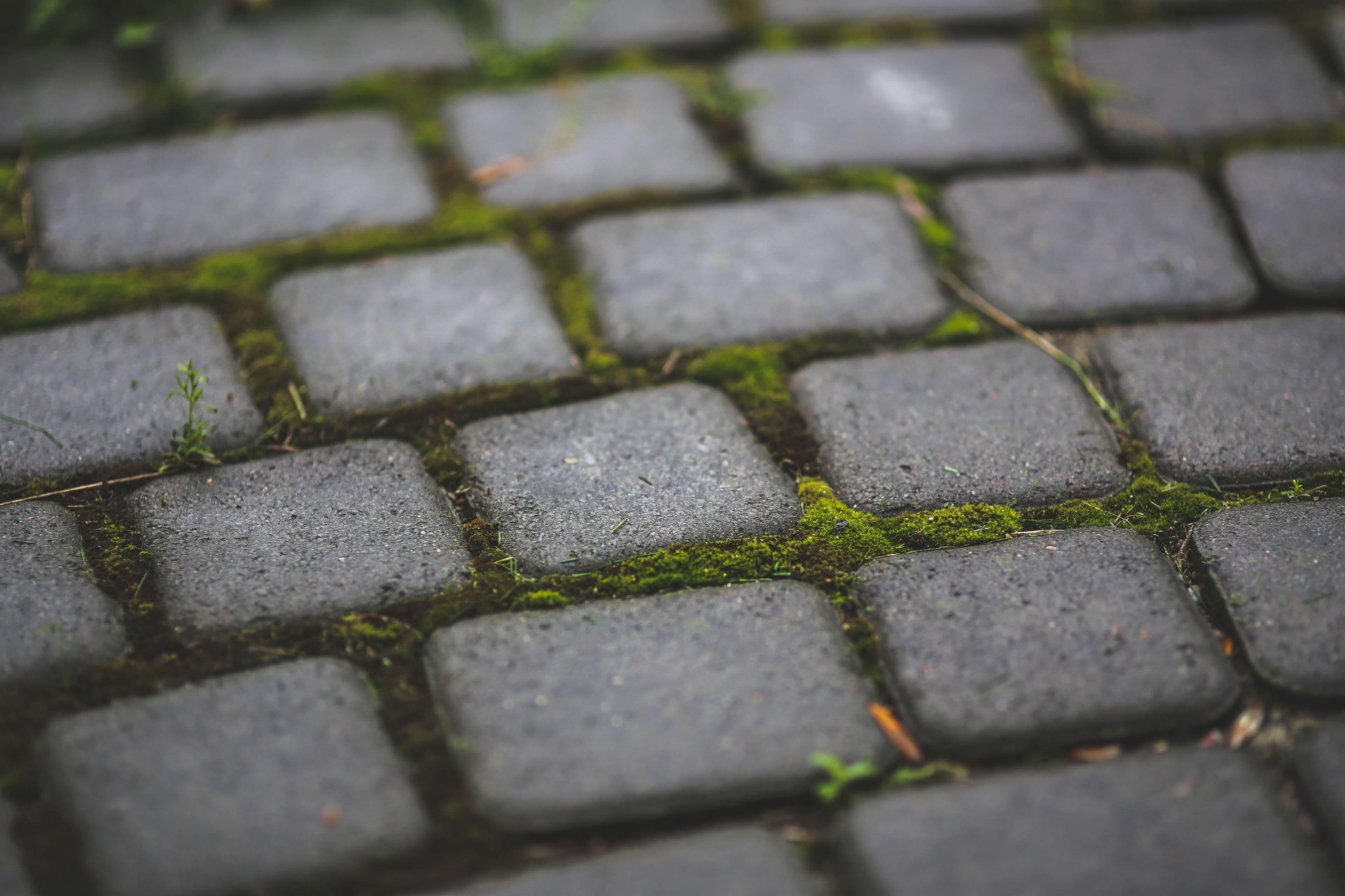 day, footpath, sett, high angle view, surface level, close-up, paving stone, street, solid, 4K, pavement, full frame, stone material, no people, pattern, HD Wallpaper
