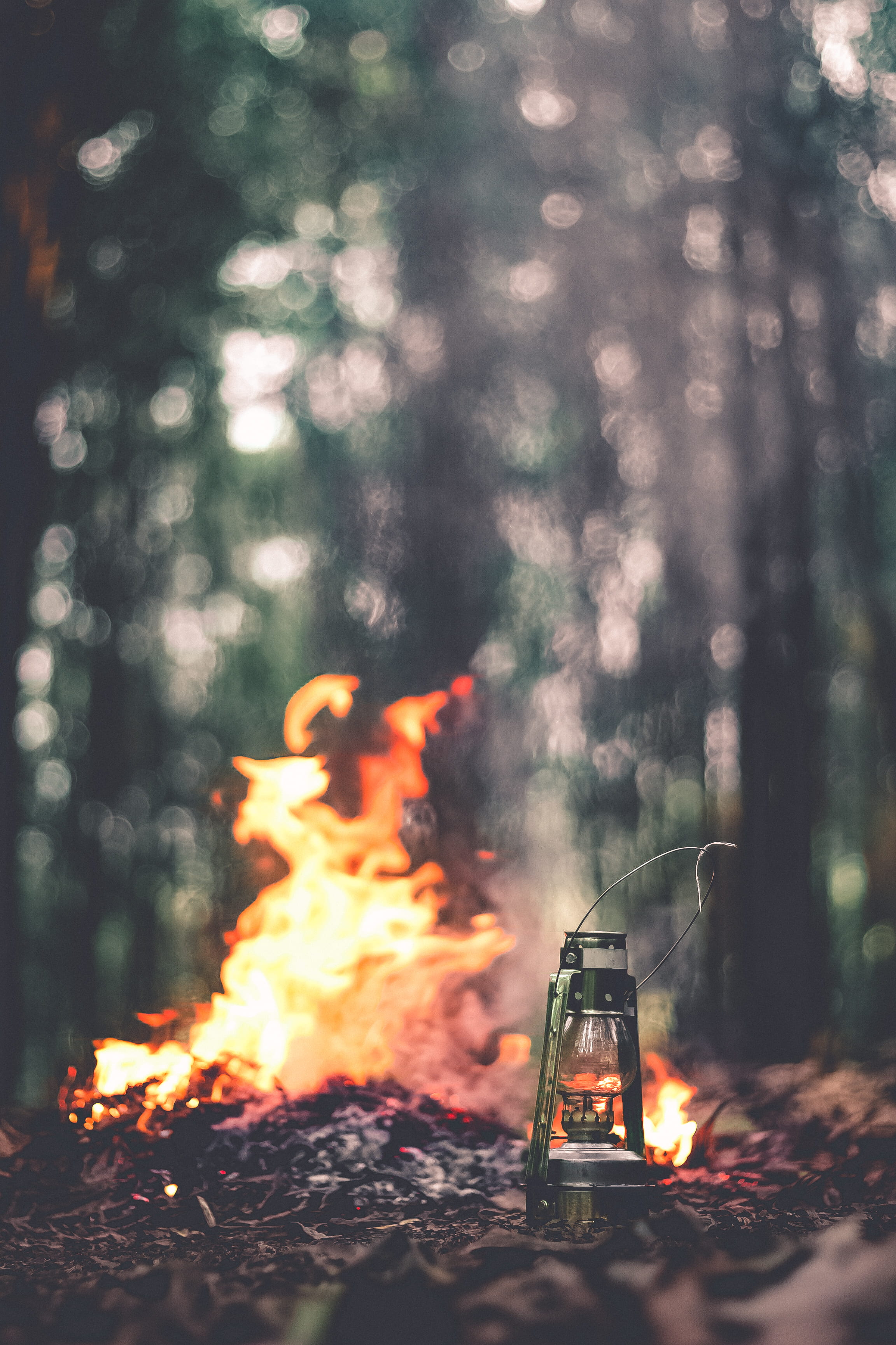 brown, motion, focus, glass, smoke - physical structure, green, no people, lantern, wood, shallow, nature, heat - temperature, photo, 2K, beside, glowing, Phone HD Wallpaper