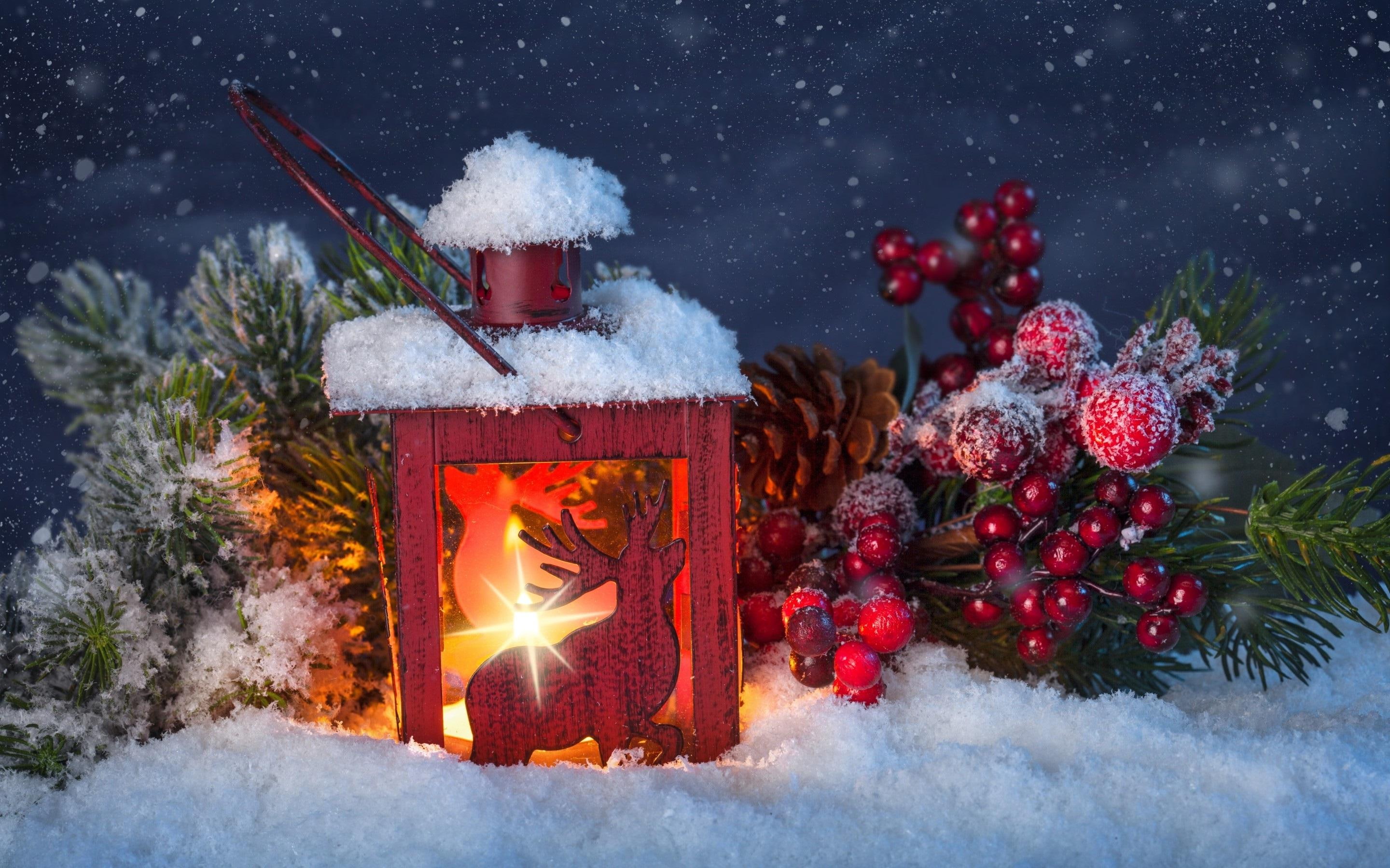 metal, deer, magic, lovely, candle, new-year, holiday, red, cold, snowy, lantern, pretty, snowflakes, care, glass, beautiful, kindness, trees, snow, latern, HD Wallpaper