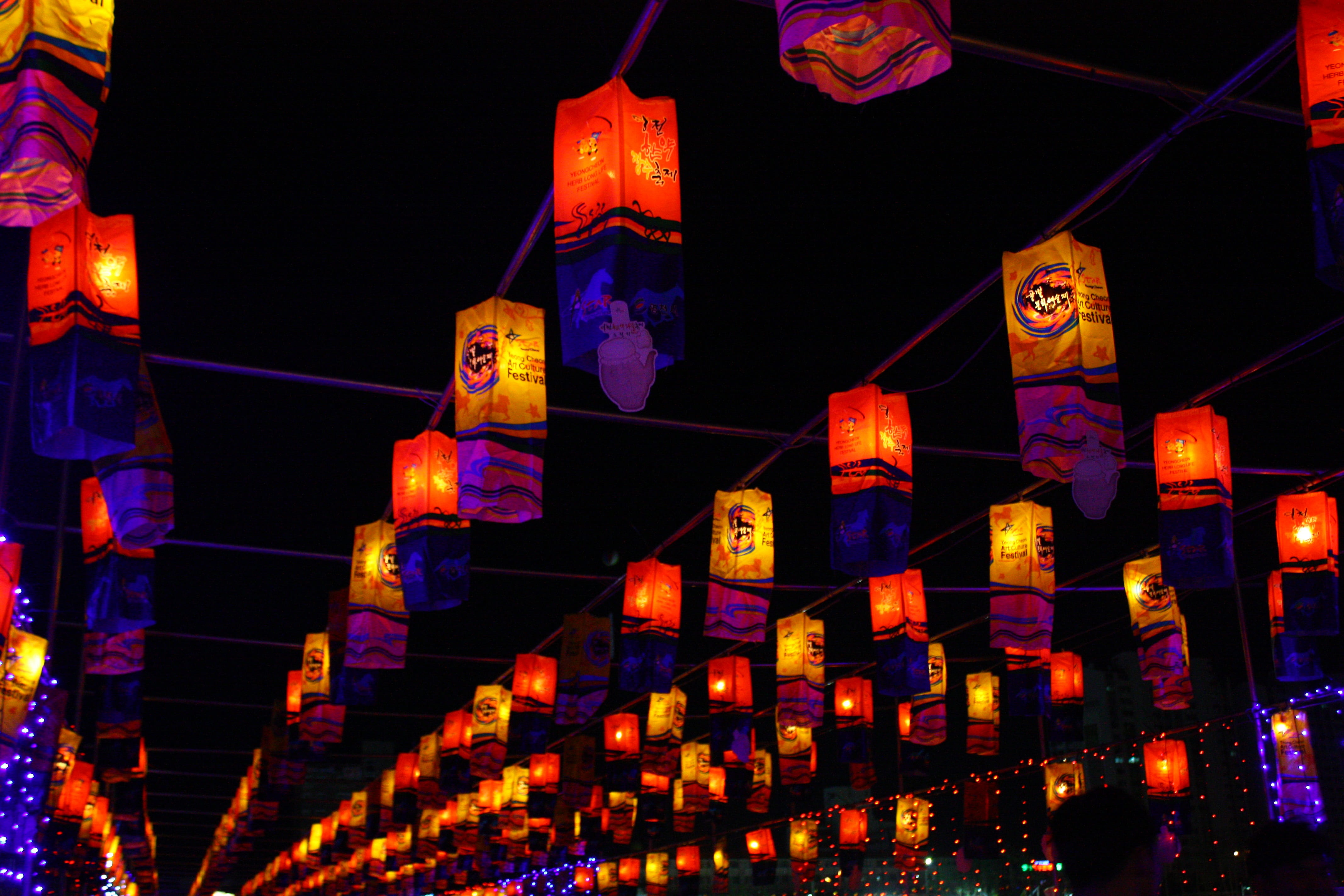 built structure, lantern, city, congratulations, multi colored, low angle view, Oil, chinese new year, Lights, hanging, black background, building, oil etc, HD Wallpaper