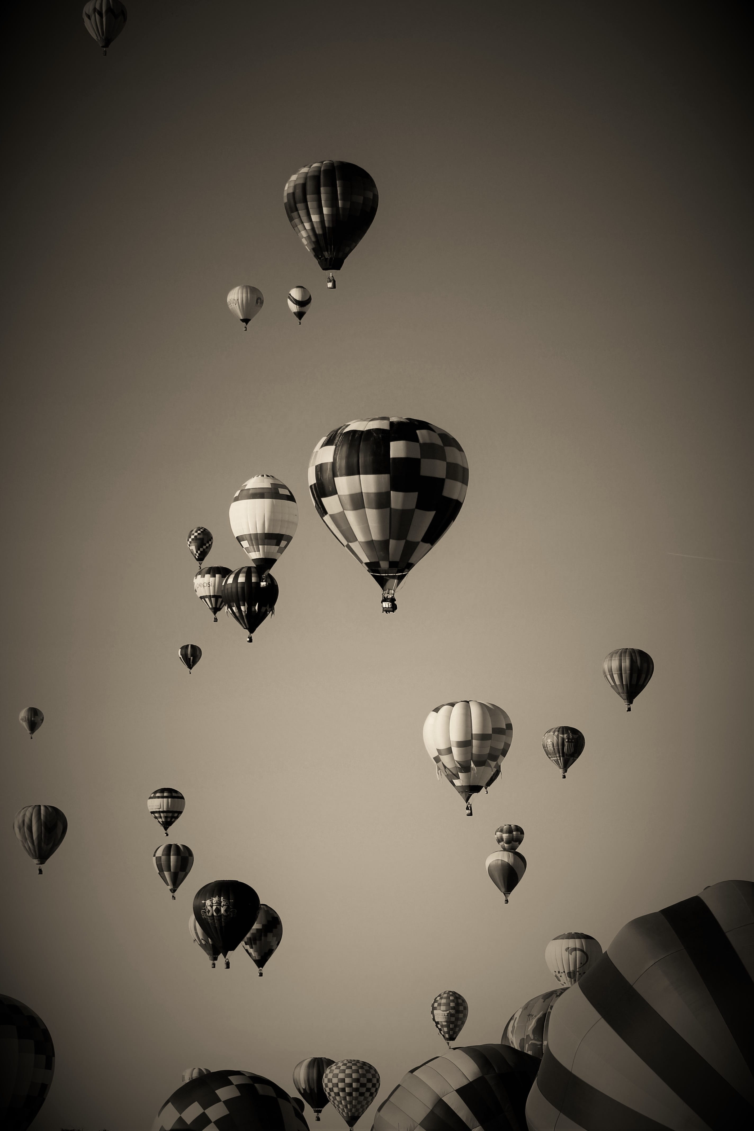 flight, new mexico, celebration, colors, nature, vibrant, sepia, leisure, albuquerque balloon fiesta, balloon rides, albuquerque international balloon, Phone HD Wallpaper