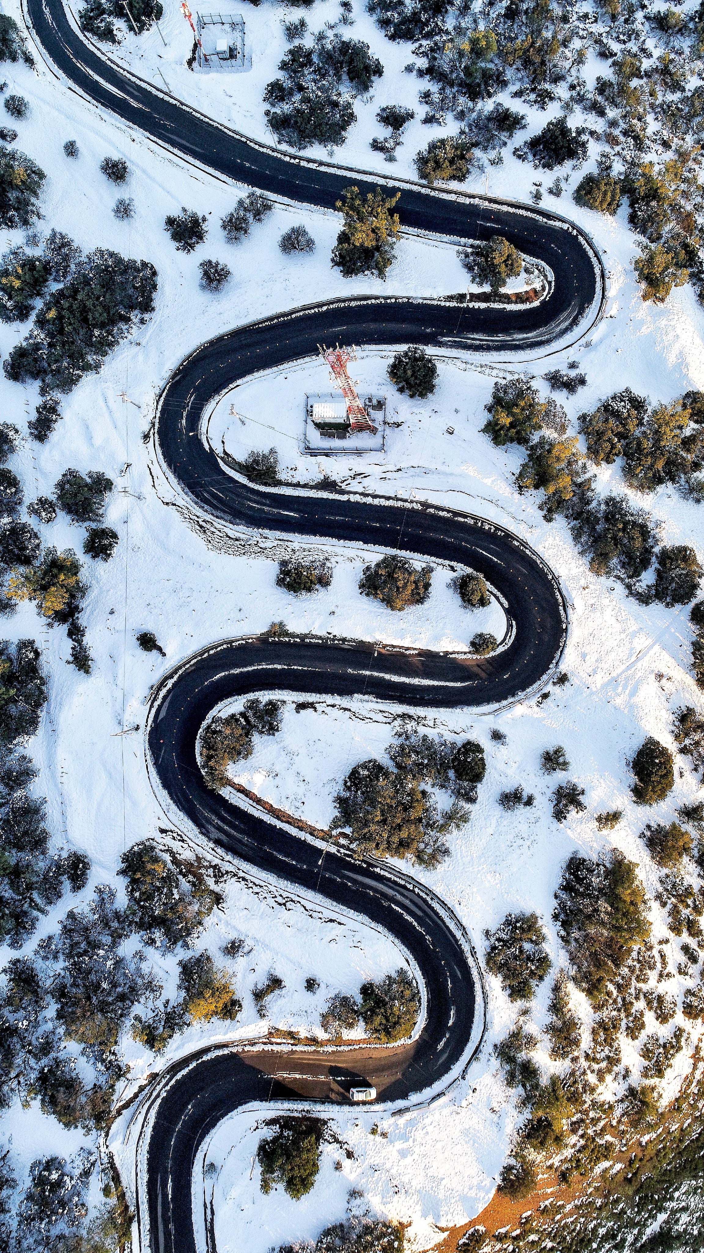 nature, forest, lo barnechea, plant, aerial view, black, daytime, hacienda, tree, outdoors, transportation, 4K, wheel, pattern, car, chile, motor vehicle, Phone HD Wallpaper