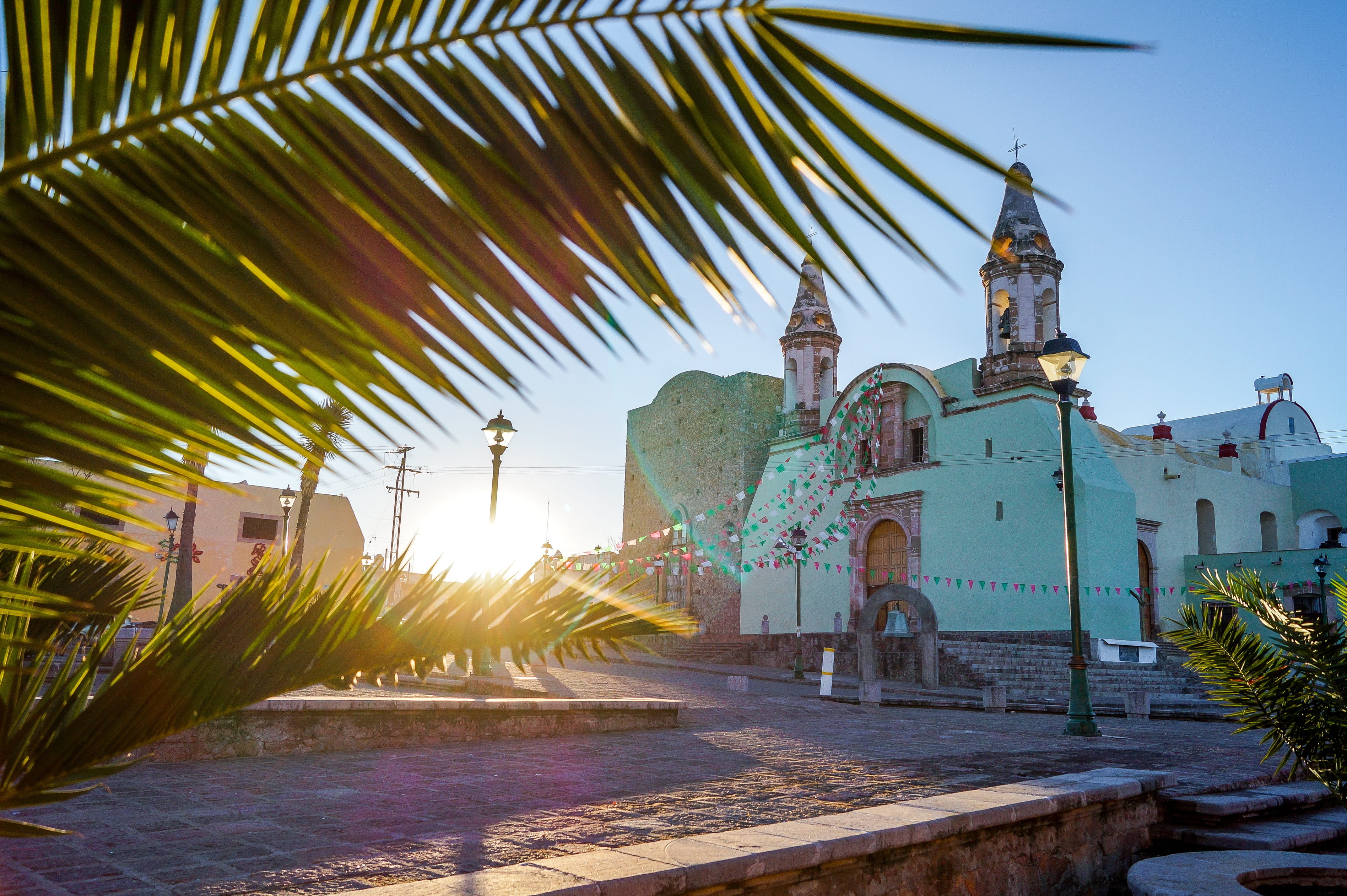 palm tree, sunlight, belief, nature, tree, no people, palm leaf, day, religion, hacienda de bocas slp, tropical climate, san luis potosí, plant, place of worship, HD Wallpaper