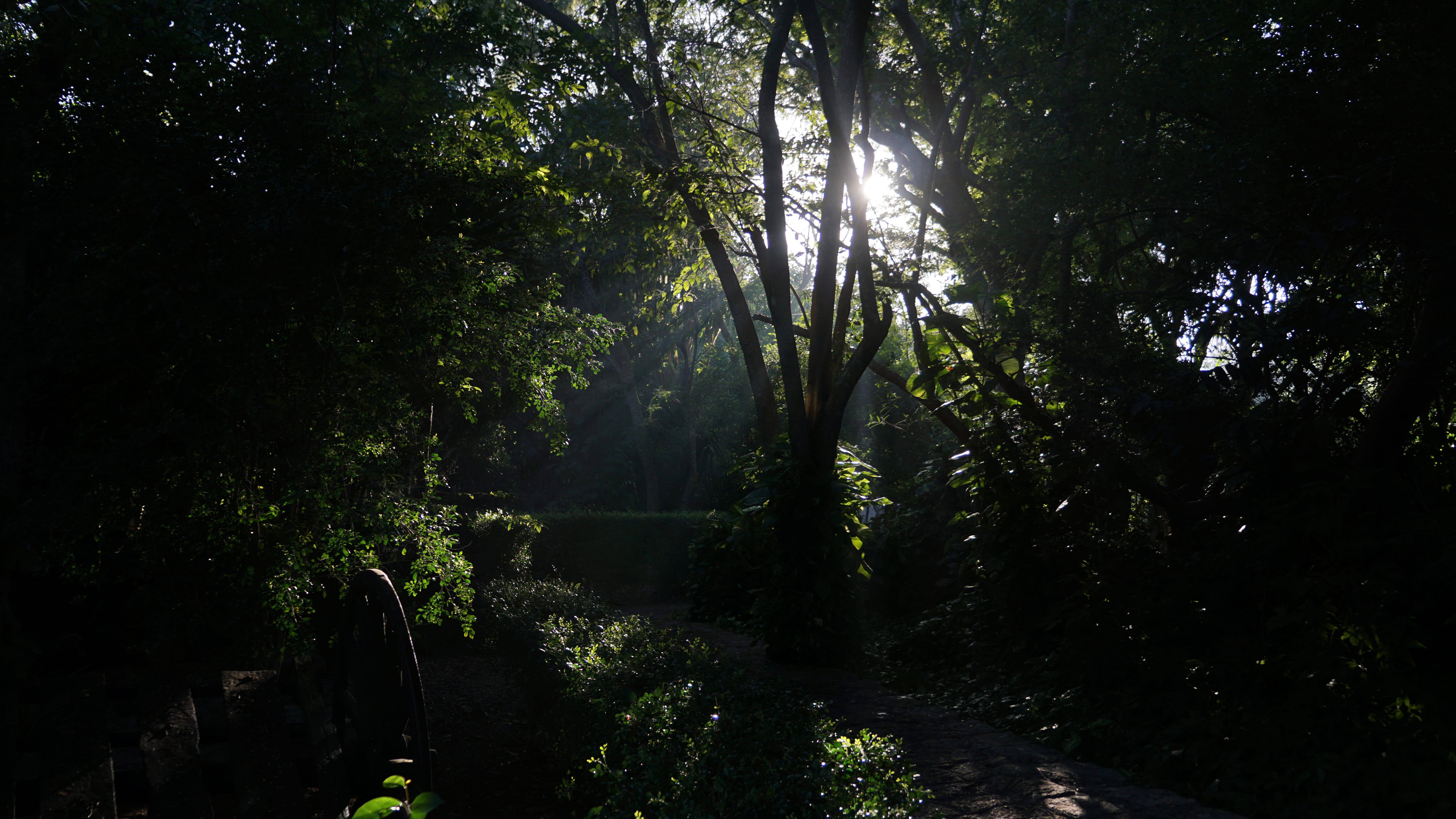 non-urban scene, la hacienda xcanatun, nature, water, beauty in nature, tranquility, trees, green color, 5K, rainforest, mexico, idyllic, sun light, outdoors, HD Wallpaper