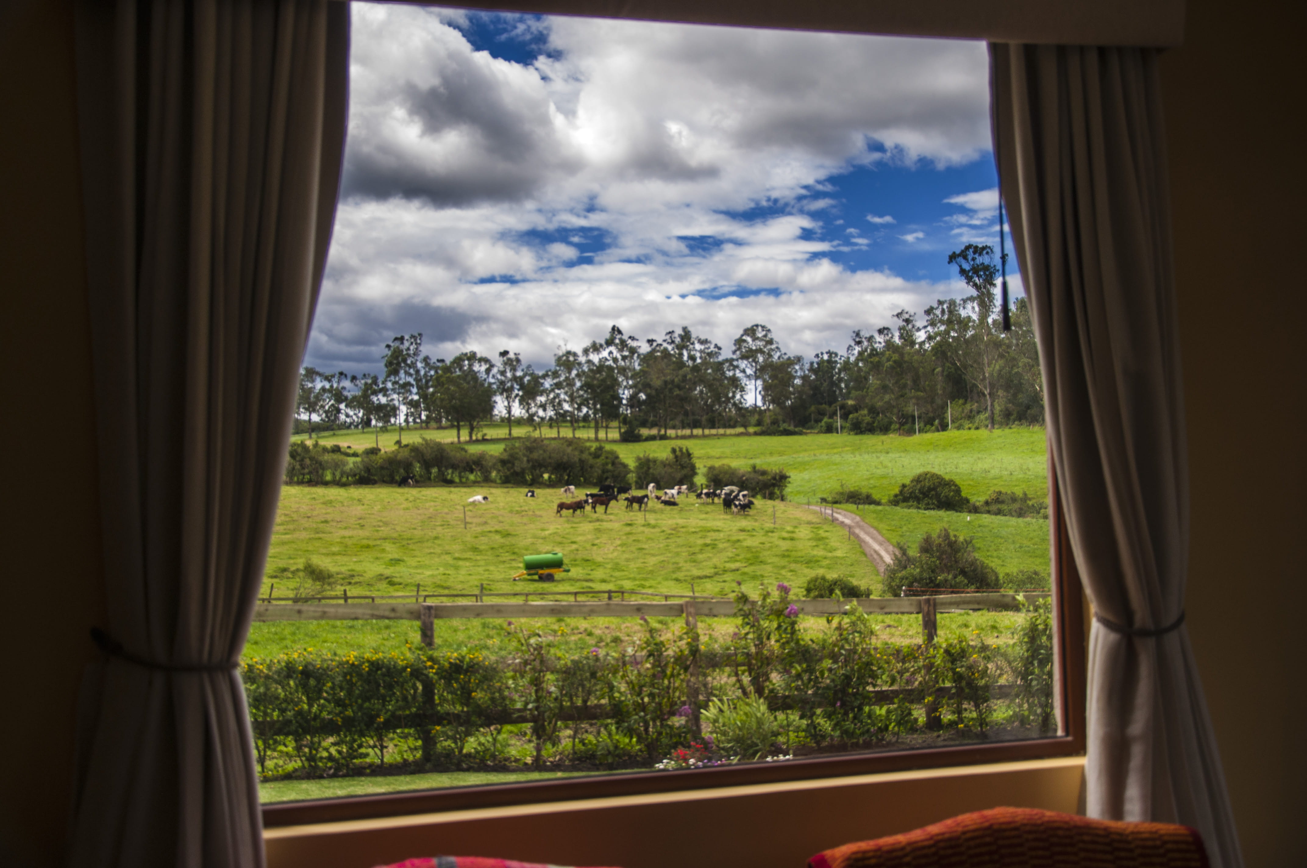 sky, no people, indoors, landscape, environment, nature, 4K, grass, day, tree, field, andes, land, ecuador, hacienda, window, aloag, curtain, plant, green color, HD Wallpaper