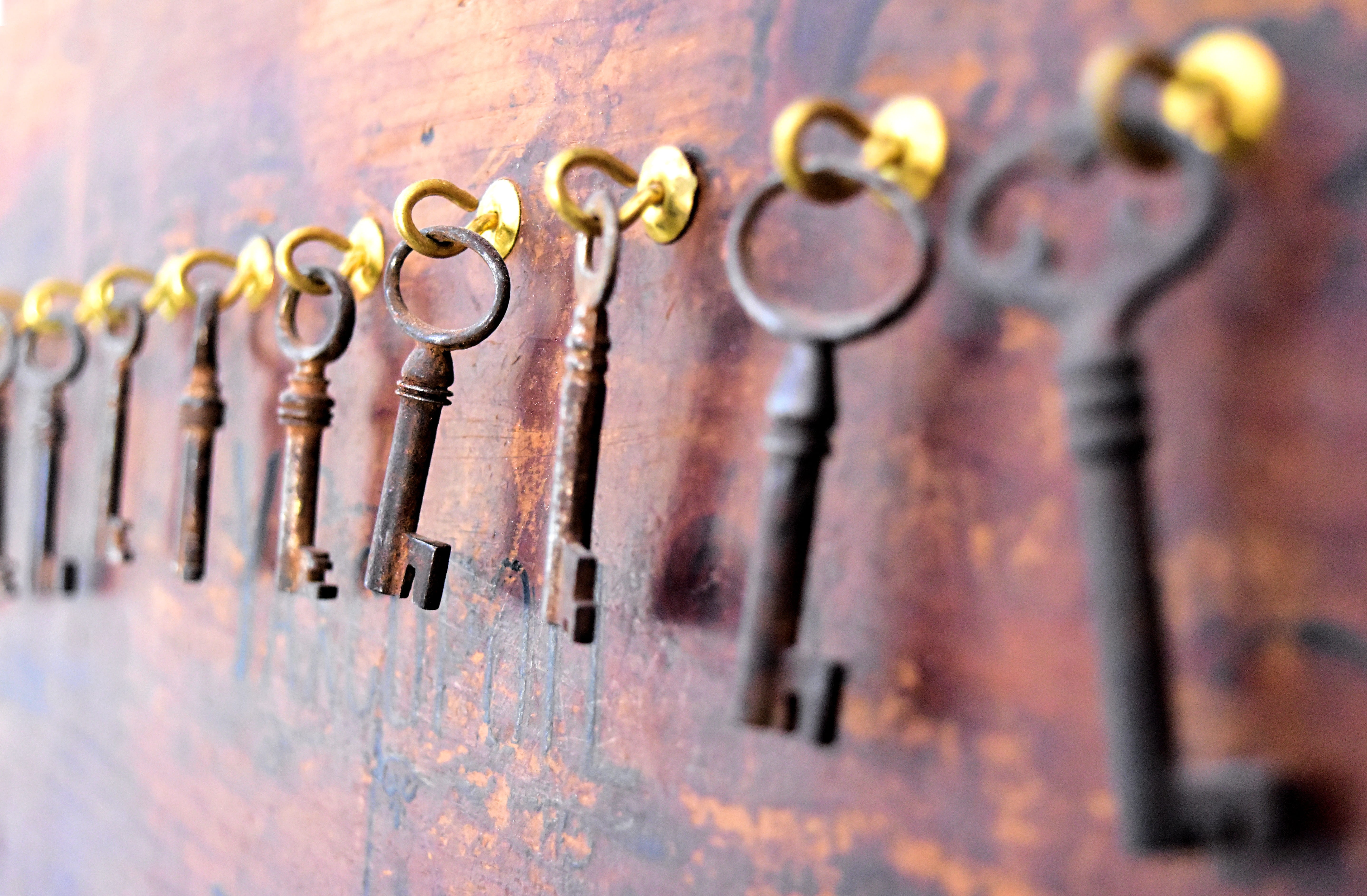hanging, hacienda yaxcopoil, rusty, wood - material, old, 5K, security, metal, protection, day, wall - building feature, iron - metal, choice, close-up, HD Wallpaper