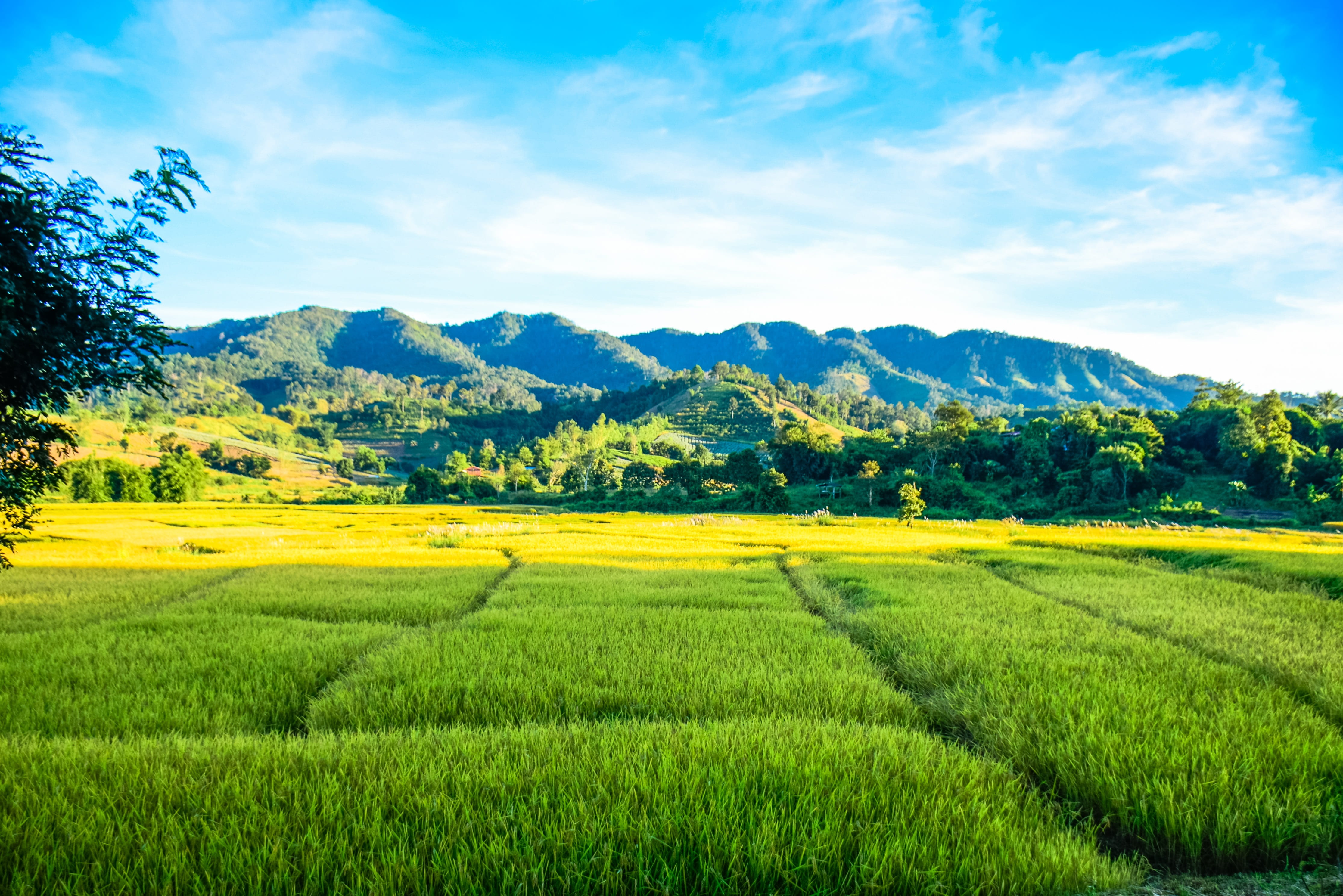 plateau, peasant land, no people, place, parcel, beauty in nature, tranquil scene, scenics - nature, environment, the landscape, agriculture, cloud - sky, HD Wallpaper