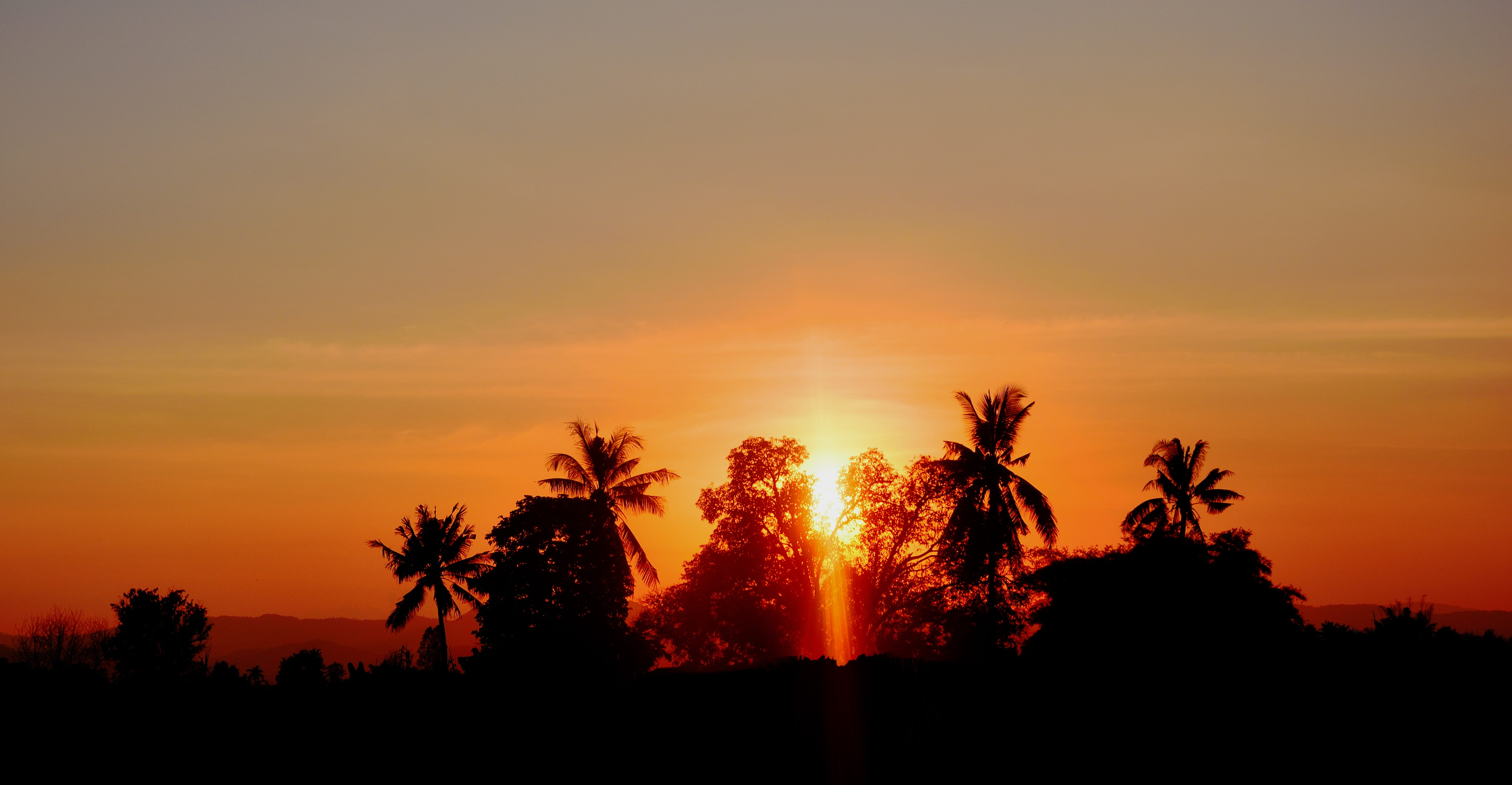 shadow, sunrise, thailand, tropical climate, sun rise, the sun, dawn, tree, nature, sugar palm, summer cottage, tranquil scene, orange color, sky, evening, HD Wallpaper