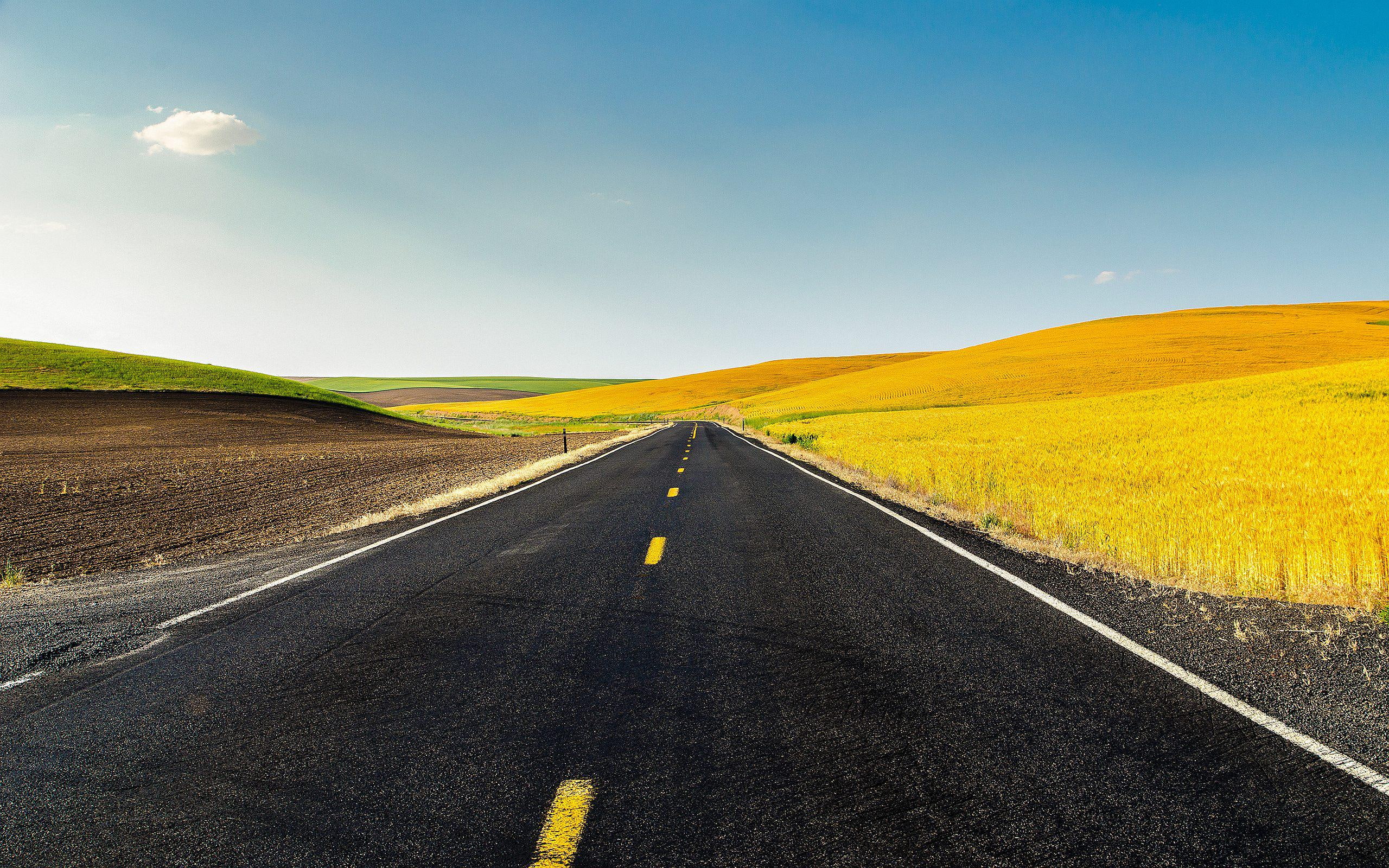 usa, street, cornfield, nature, landscape, 2K, HD Wallpaper