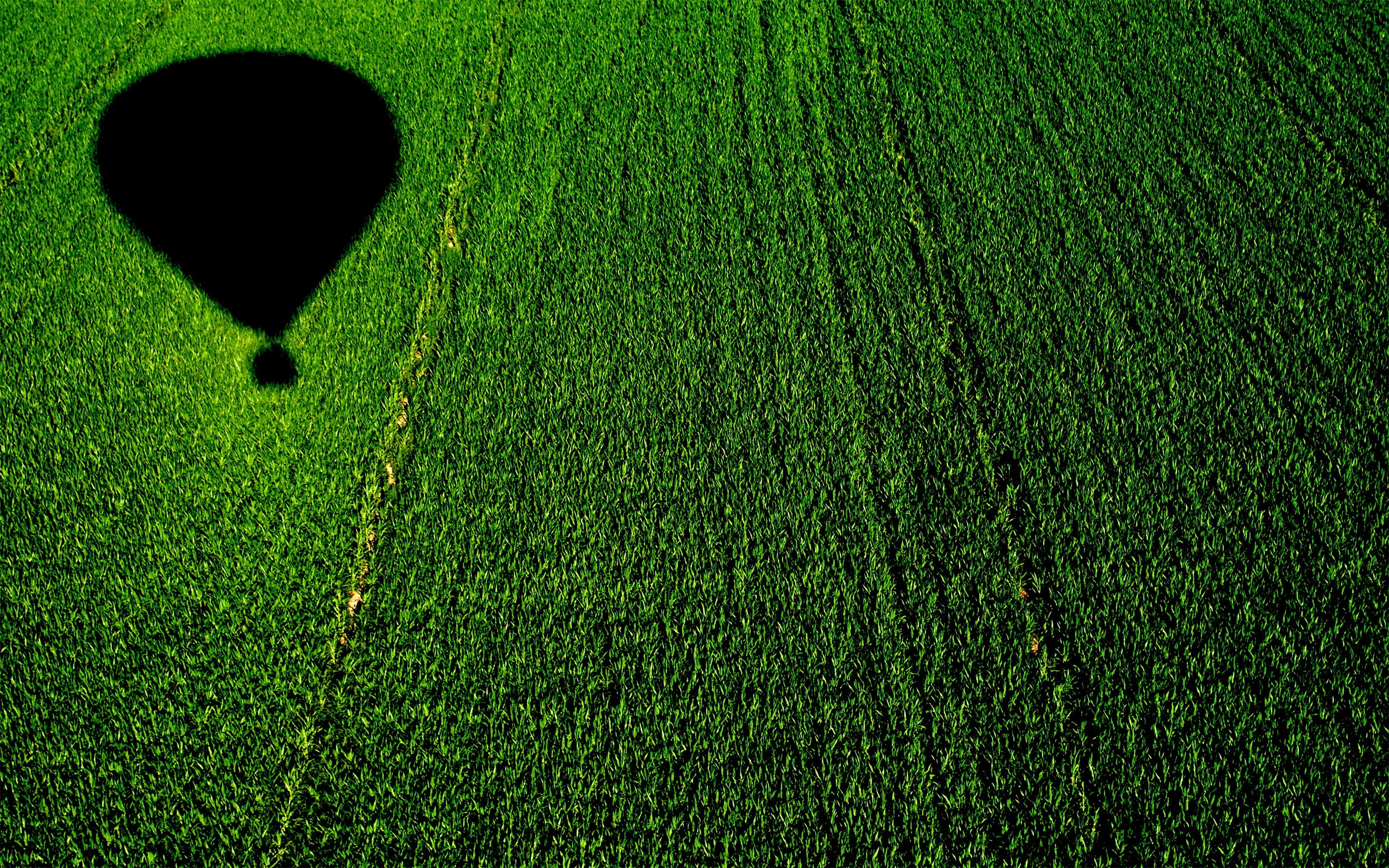 field, 2K, balloon, farming, cornfield, arizona, HD Wallpaper