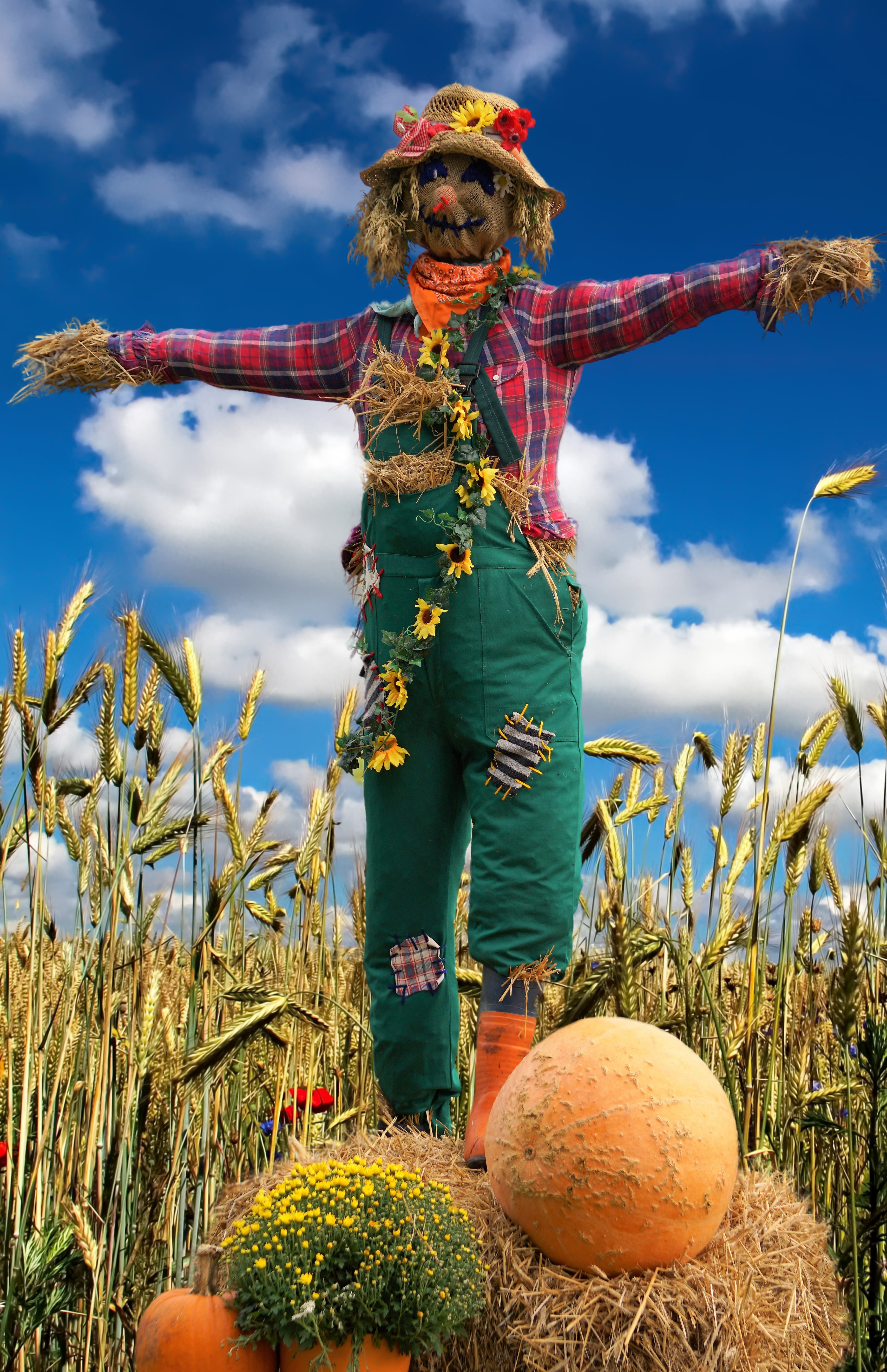 land, statue, landscape, field, harvest, food, art and craft, representation, nature, autumn, sky, 5K, straw, crop, grain, food and drink, cloud - sky, Phone HD Wallpaper