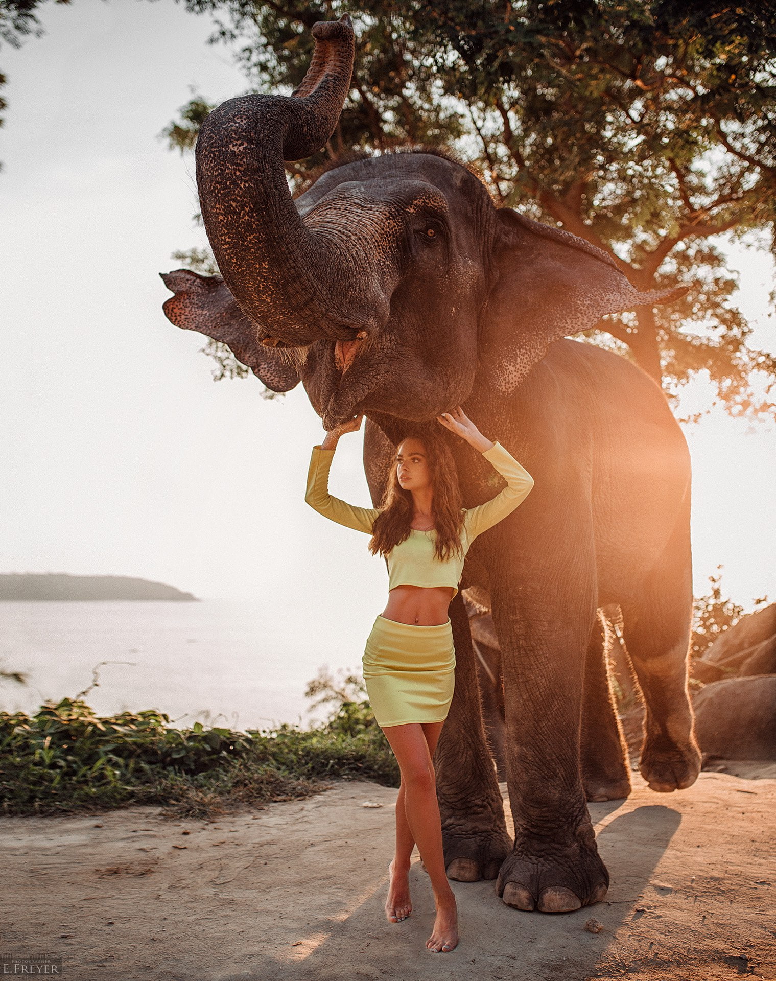 1080P, model, yellow clothing, elephant, animals, Evgeny Freyer, women, Phone HD Wallpaper
