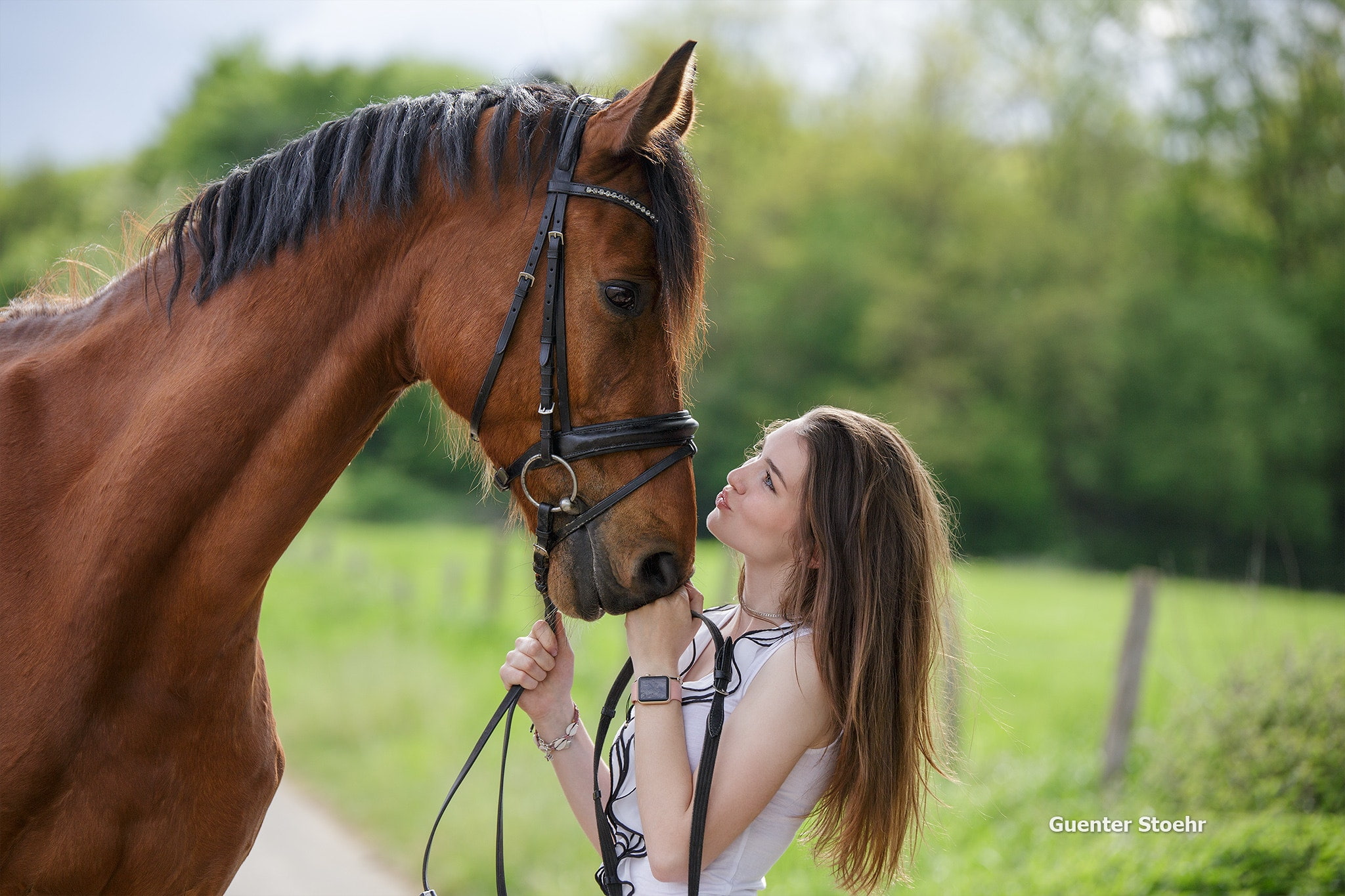 young adult, animal wildlife, domestic, horse, nature, herbivorous, adult, brown, hairstyle, grass, positive emotion, riding, women, model, 1080P, mammal, HD Wallpaper