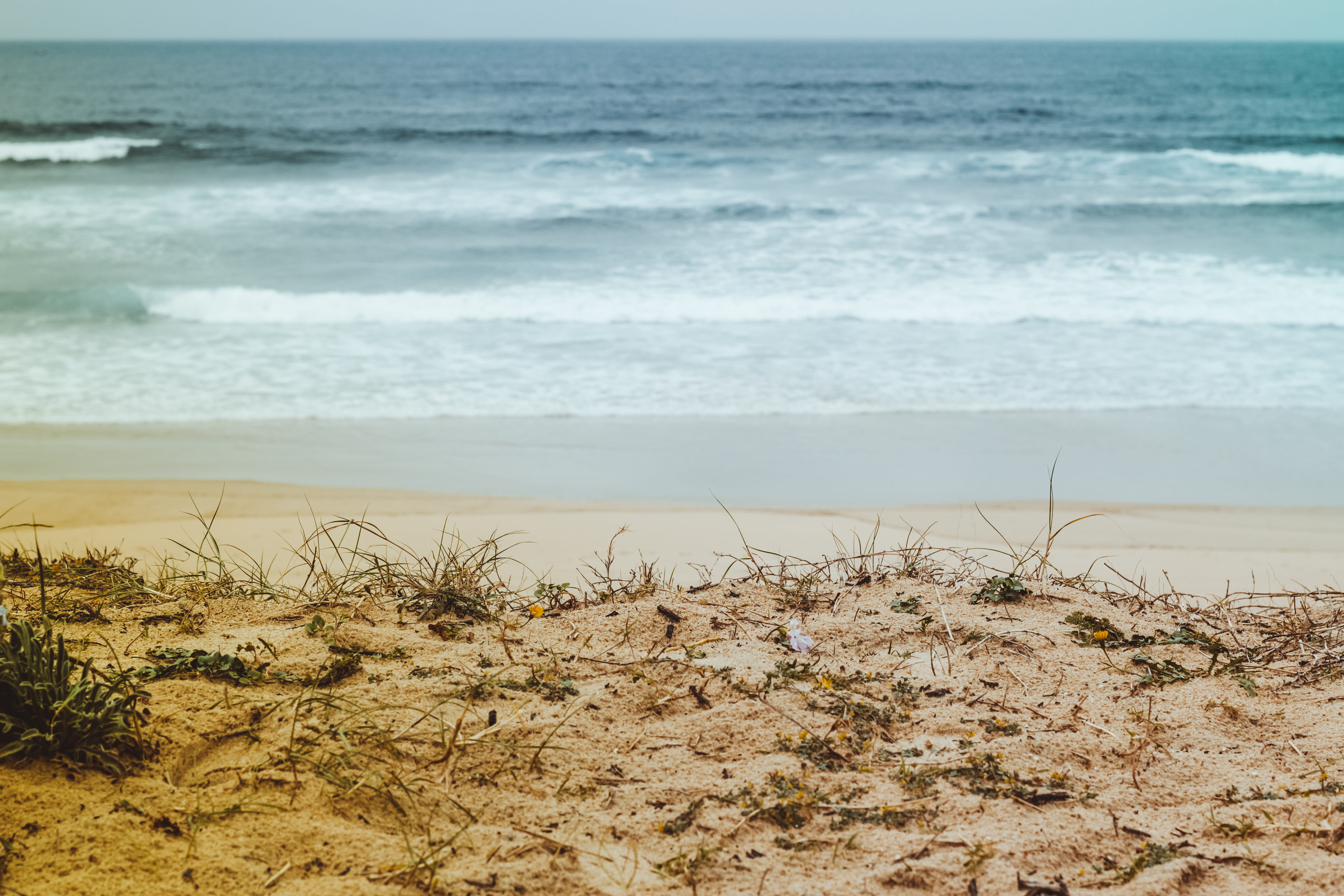 tranquil scene, mimizan, sunshine, vanlife, sea, outdoors, marram grass, t5, sun, land, wave, motion, dune, campervan, france, coast, horizon over water, HD Wallpaper