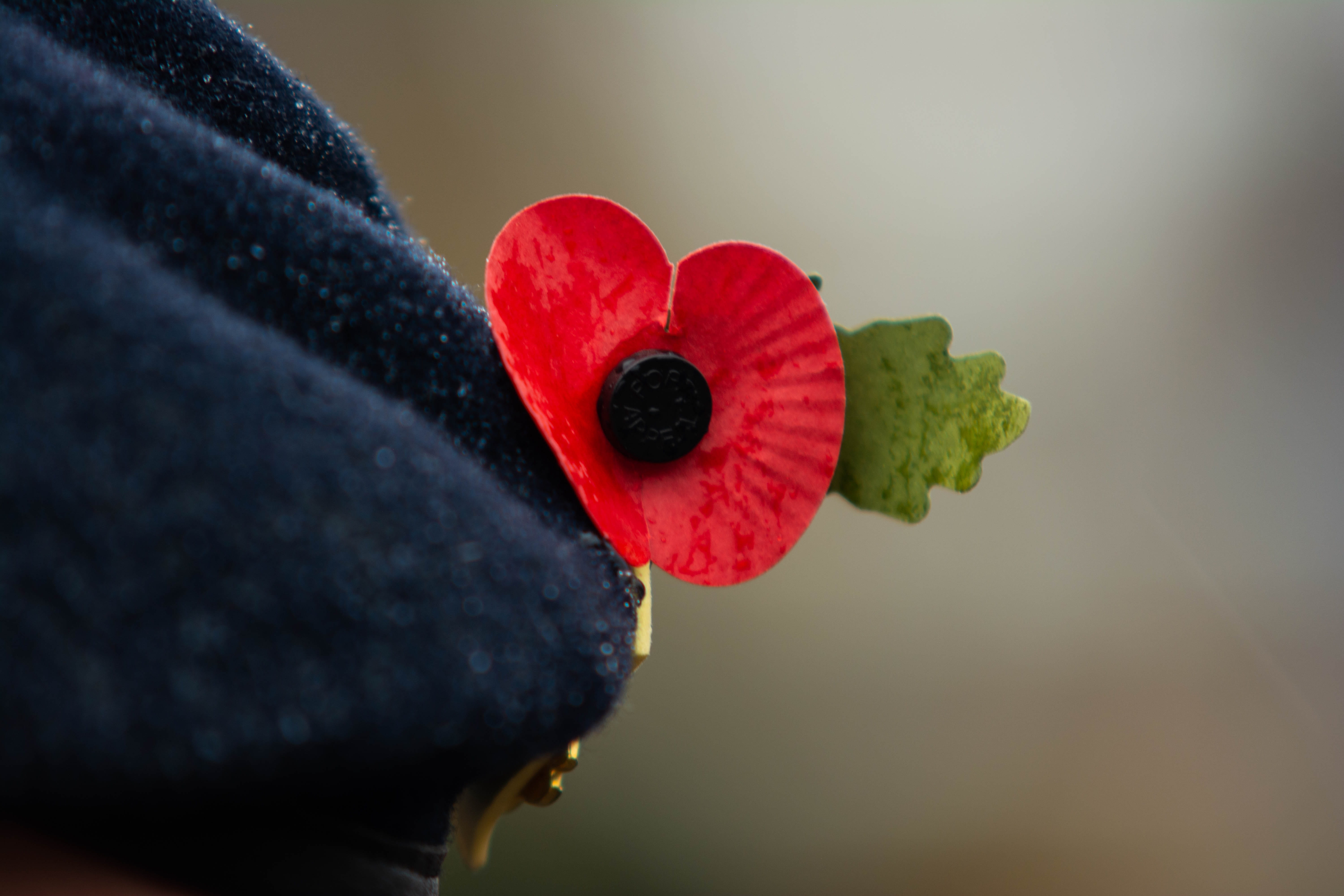 wool, freshness, dom, army, food and drink, art and craft, creativity, november, human body part, remembrance day, memorial, red, war, 5K, soldier, warm clothing, HD Wallpaper