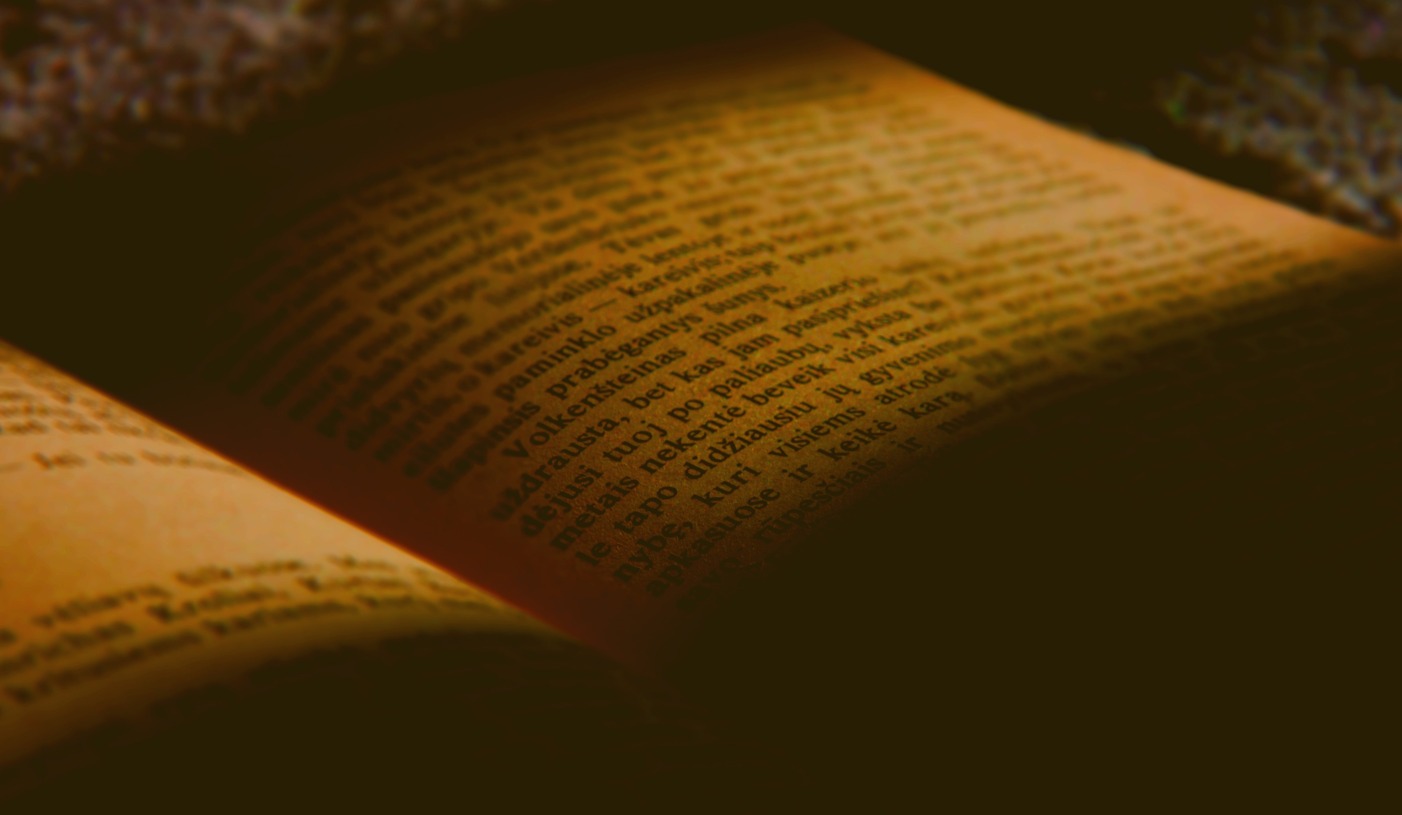 amateur, 4K, books, HD Wallpaper