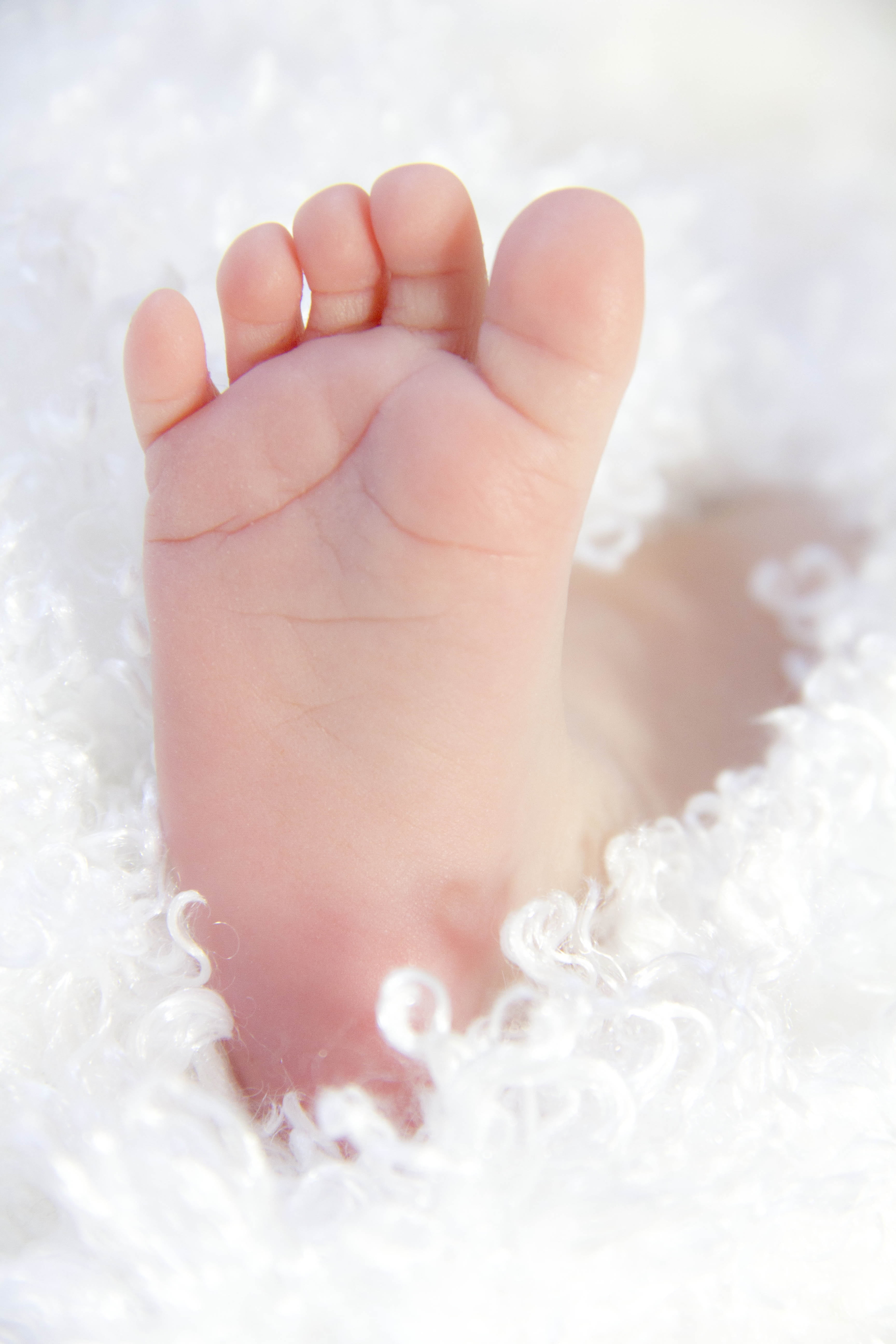 focus, infant, little, softness, skin, human toe, barefoot, human leg, babyhood, innocence, white, foot, low section, close-up, one person, beginnings, Phone HD Wallpaper