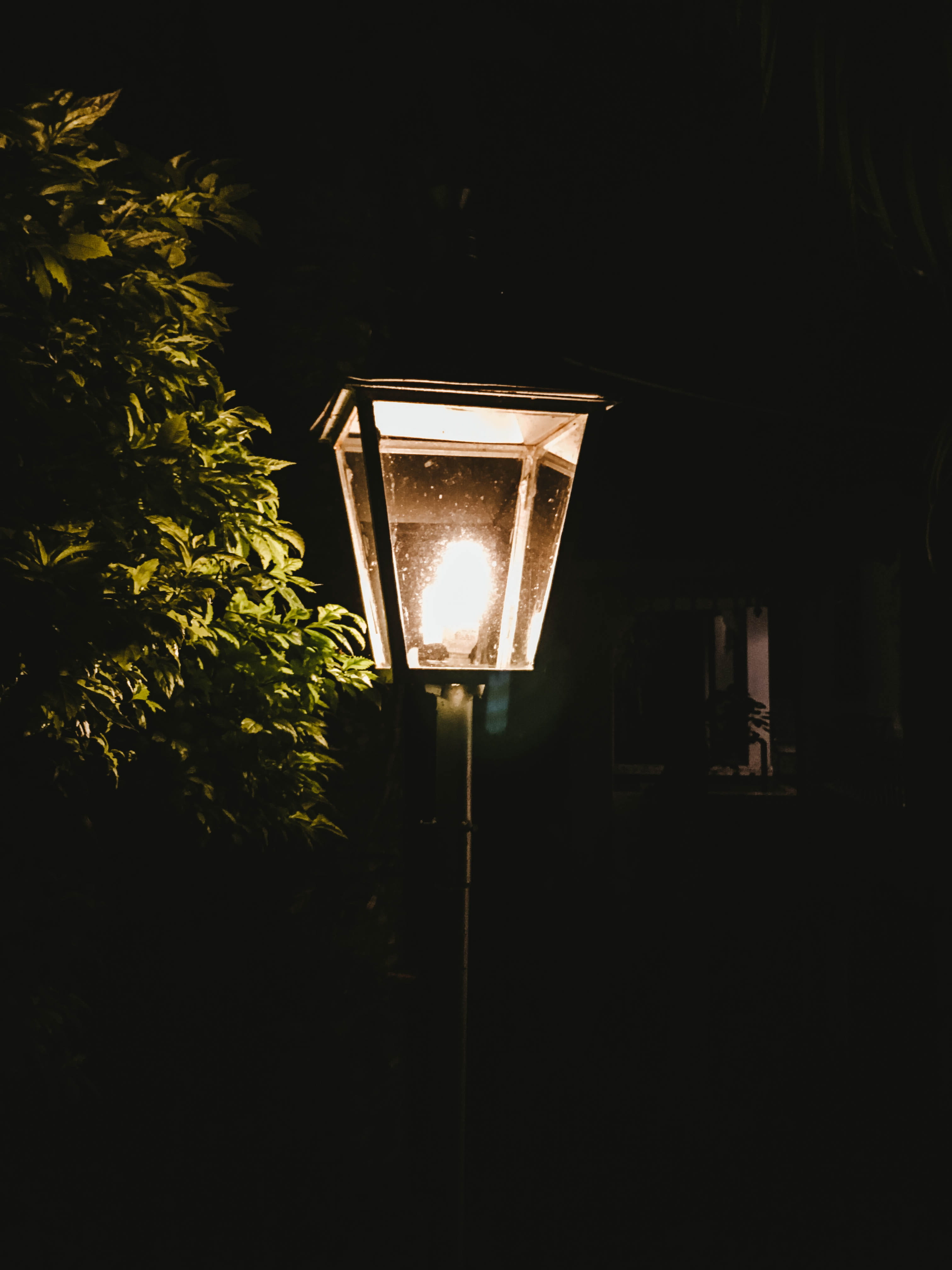 yercaud, low angle view, lamp, tree, plant, architecture, outdoors, electric light, street light, light fixture, electricity, dark, nature, india, illuminated, Phone HD Wallpaper
