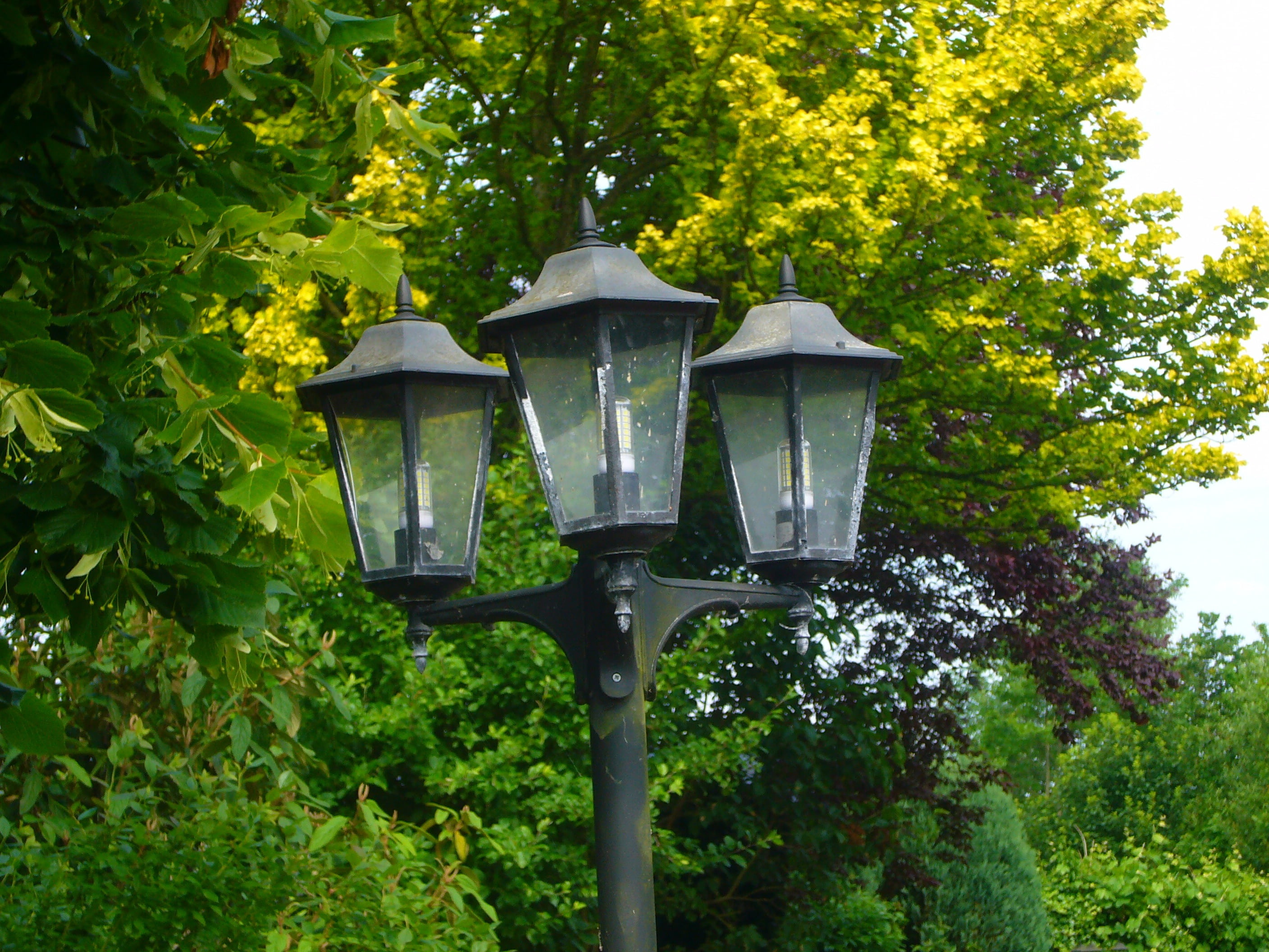 land, street, nature, lantern, street light, tranquility, gas light, outdoors, 2K, beauty in nature, green color, day, lighting equipment, summer, leaf, HD Wallpaper