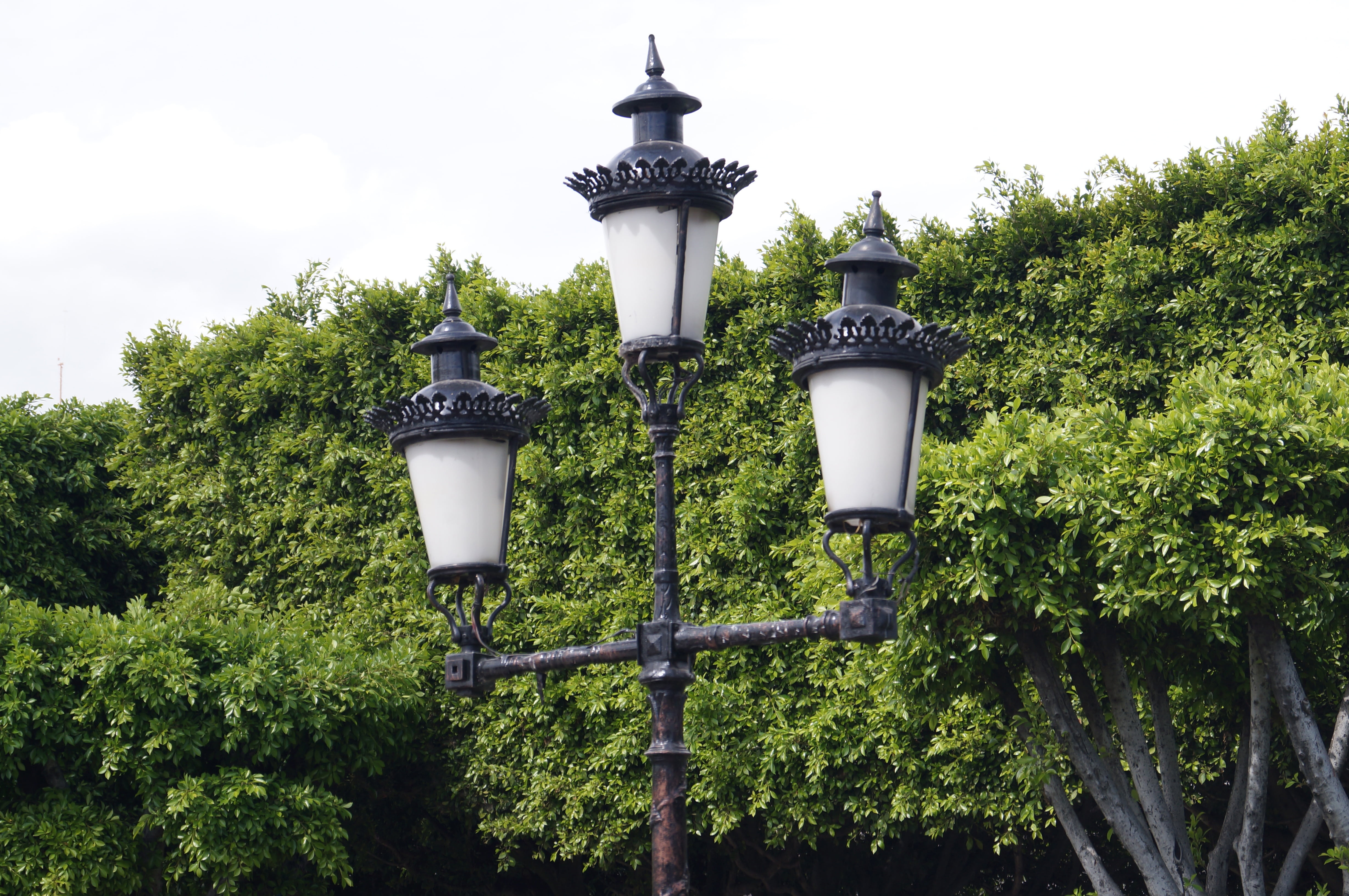 lighting equipment, architecture, 4K, nature, tree, electric Lamp, green color, lamp, plant, metal, low angle view, building exterior, sky, no people, HD Wallpaper